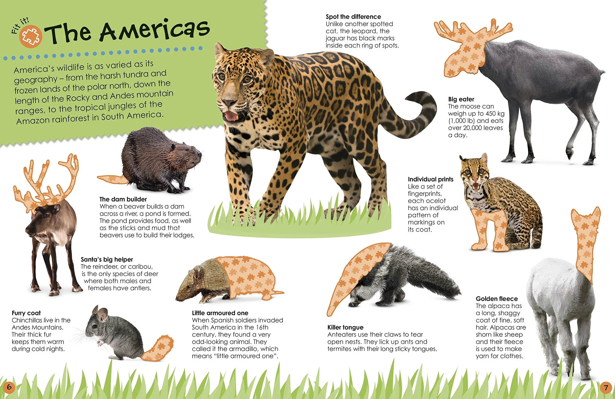 Ultimate Sticker Book Animals: More than 250 Reusable Stickers