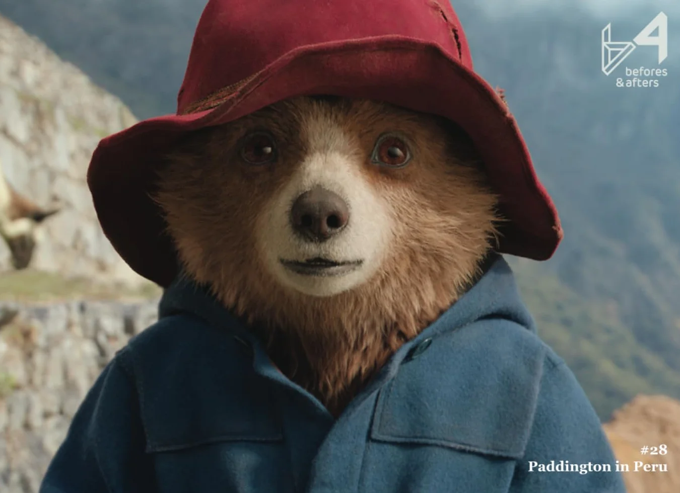 befores & afters - #28 - Paddington in Peru