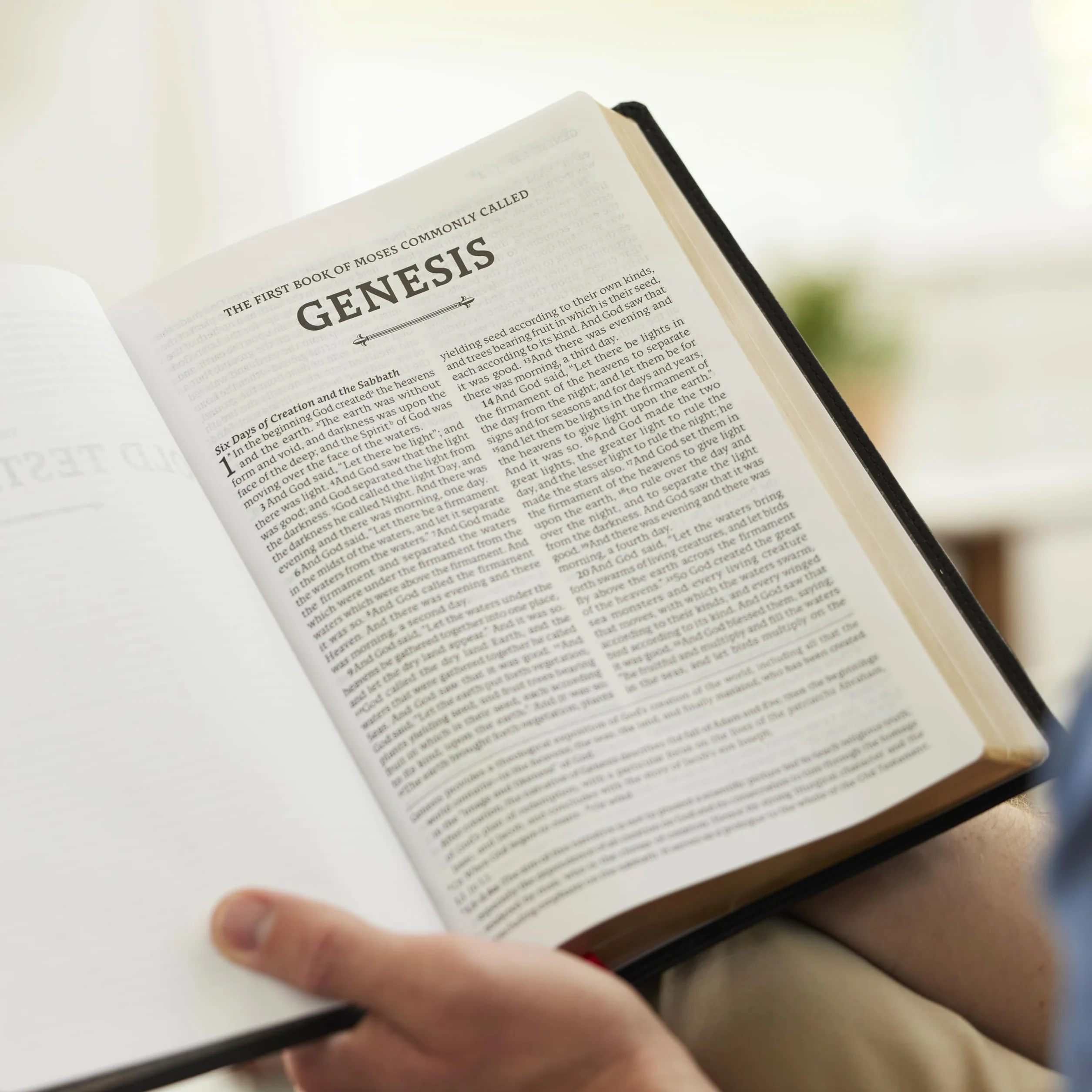 Rsv2ce, Thinline Large Print Catholic Bible, Crimson Leathersoft, Comfort Print: Revised Standard Version, Second Catholic Edition, Crimson, ... Bible, Comfort Print, Maps, 1 Ribbon Marker
