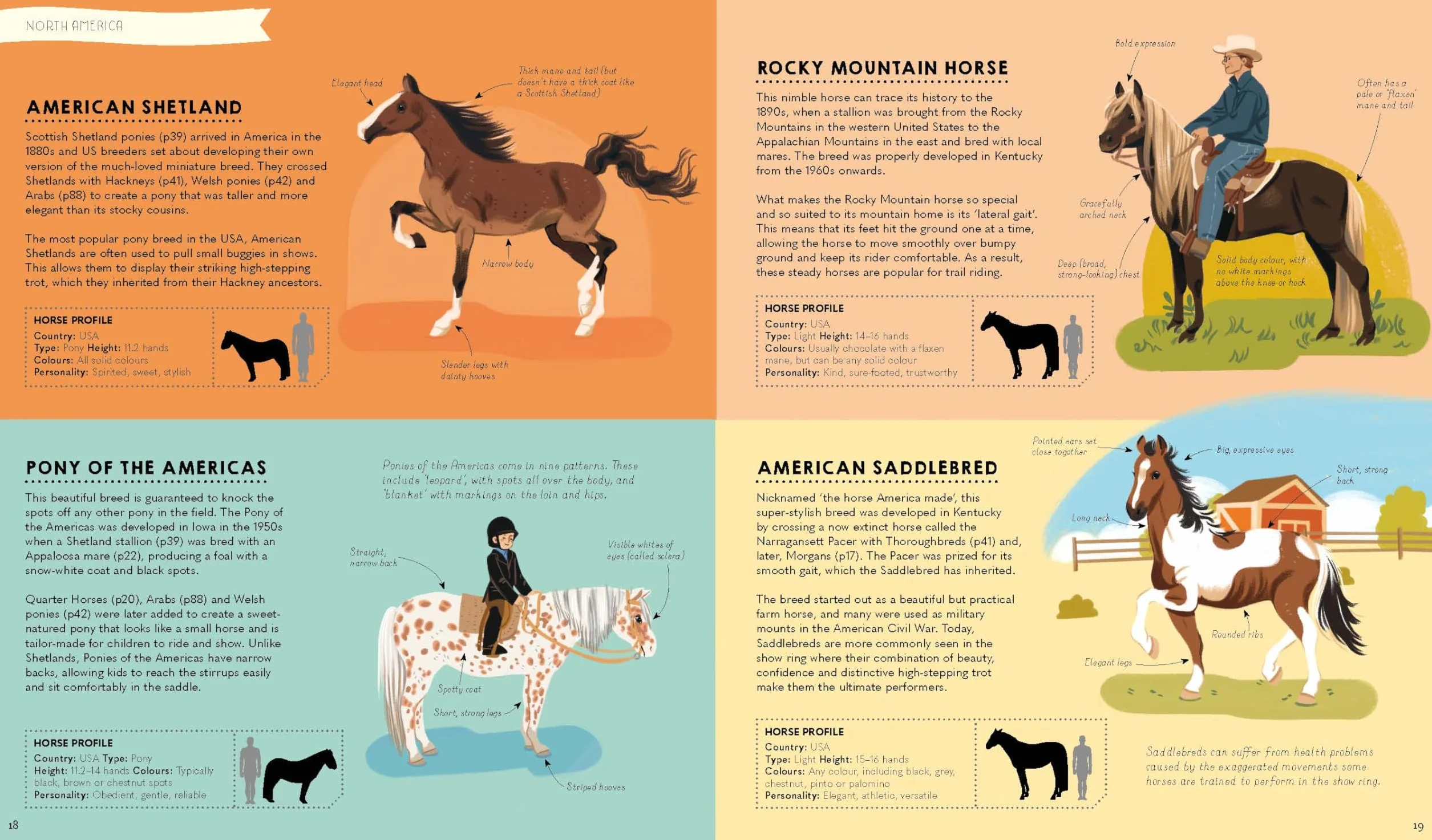 Atlas of Horses and Ponies 1ed -anglais-: 100 Amazing Breeds From Around the World | Fun Features & Illustrations | Learn About their Super Senses | Fascinating Facts