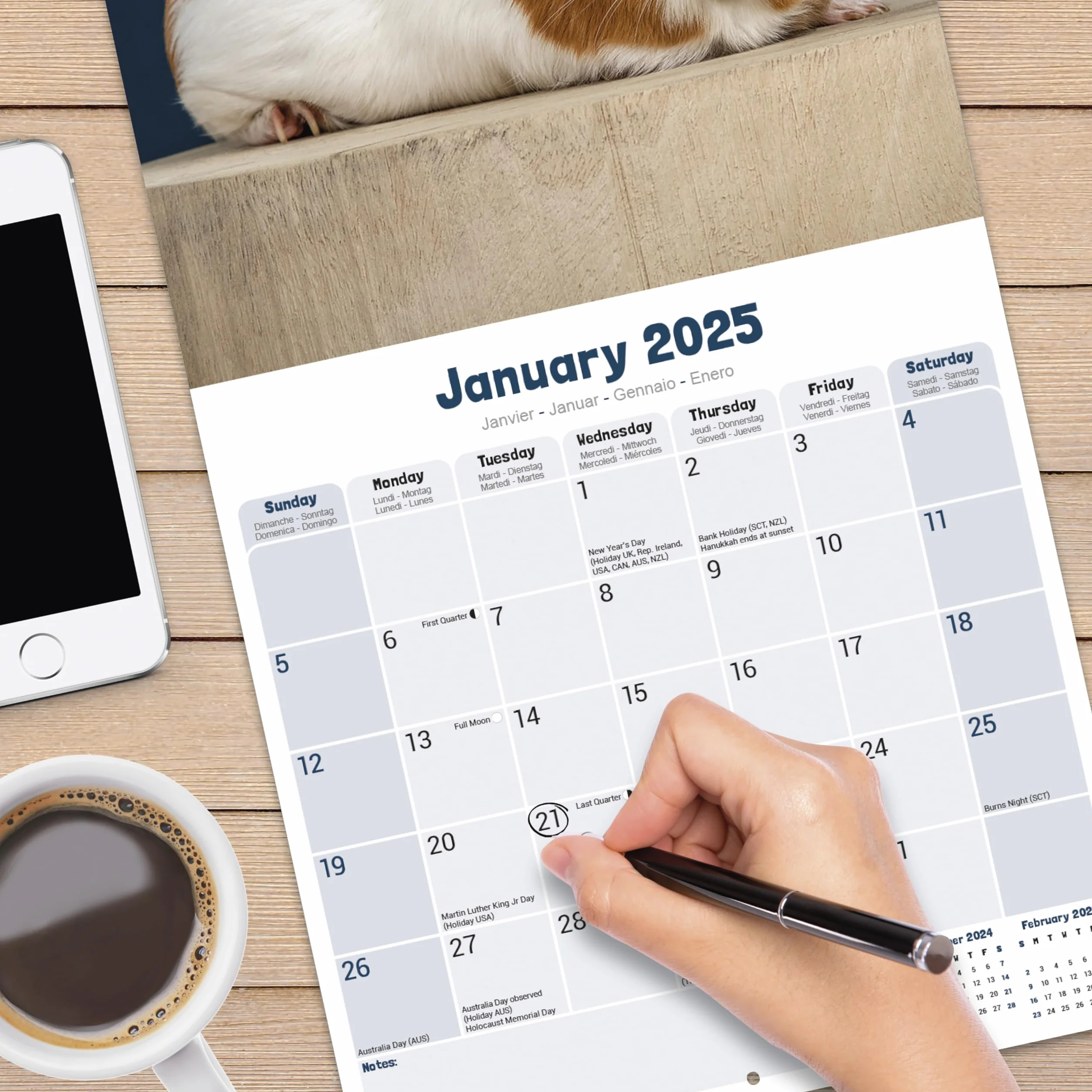 Guinea Pigs Calendar 2025 Square Wall Calendar 16 Month Avonside