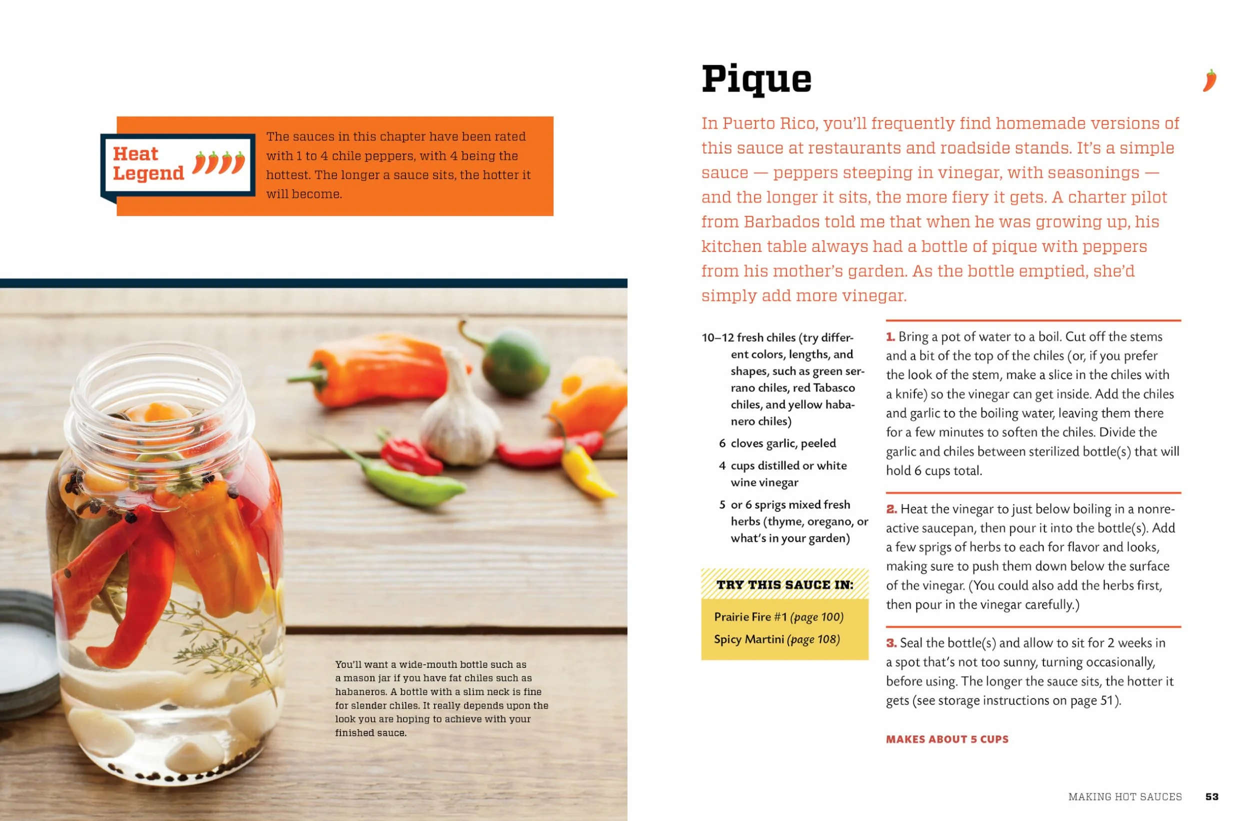 Hot Sauce!: Techniques for Making Signature Hot Sauces