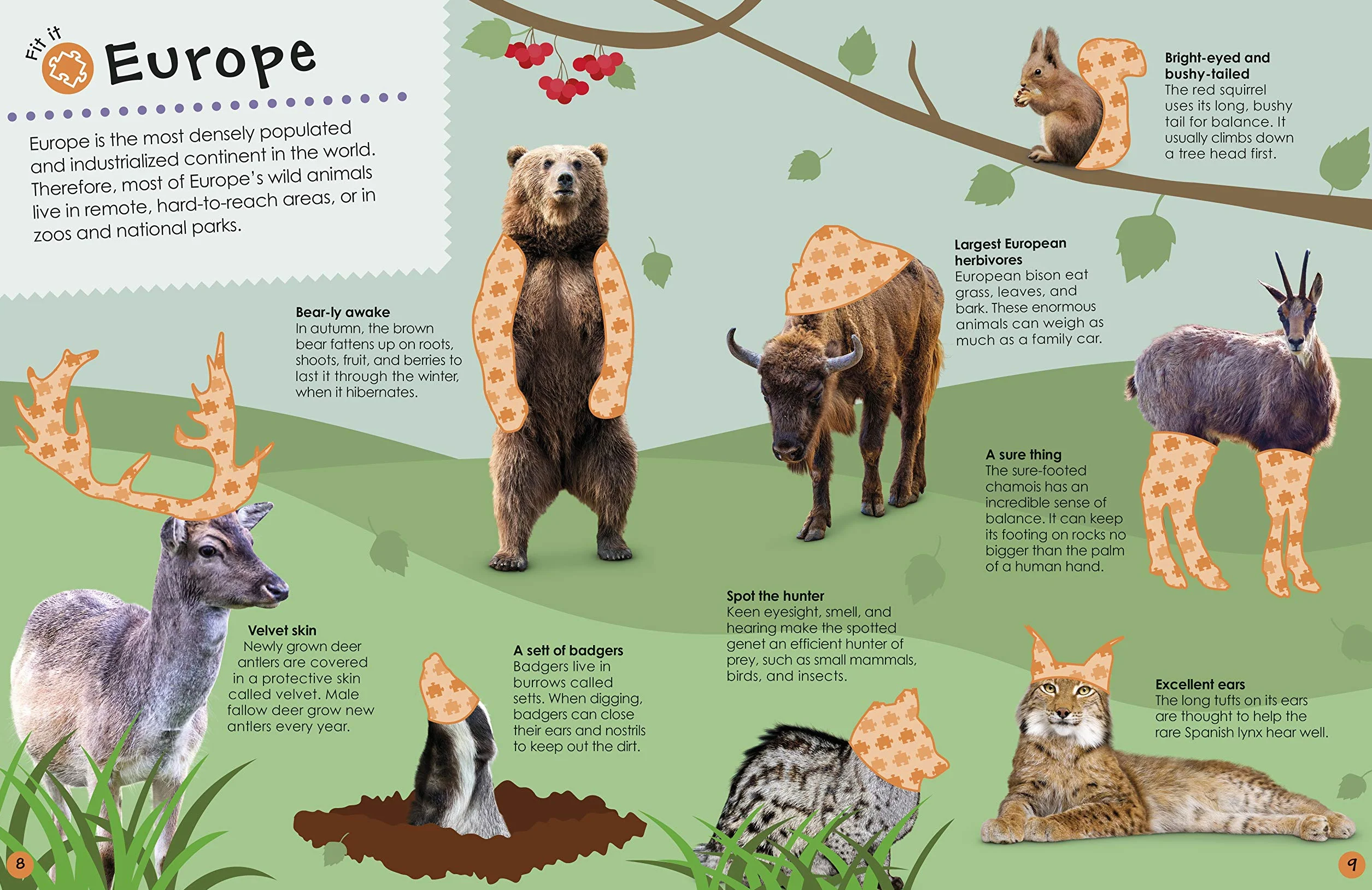 Ultimate Sticker Book Animals: More than 250 Reusable Stickers