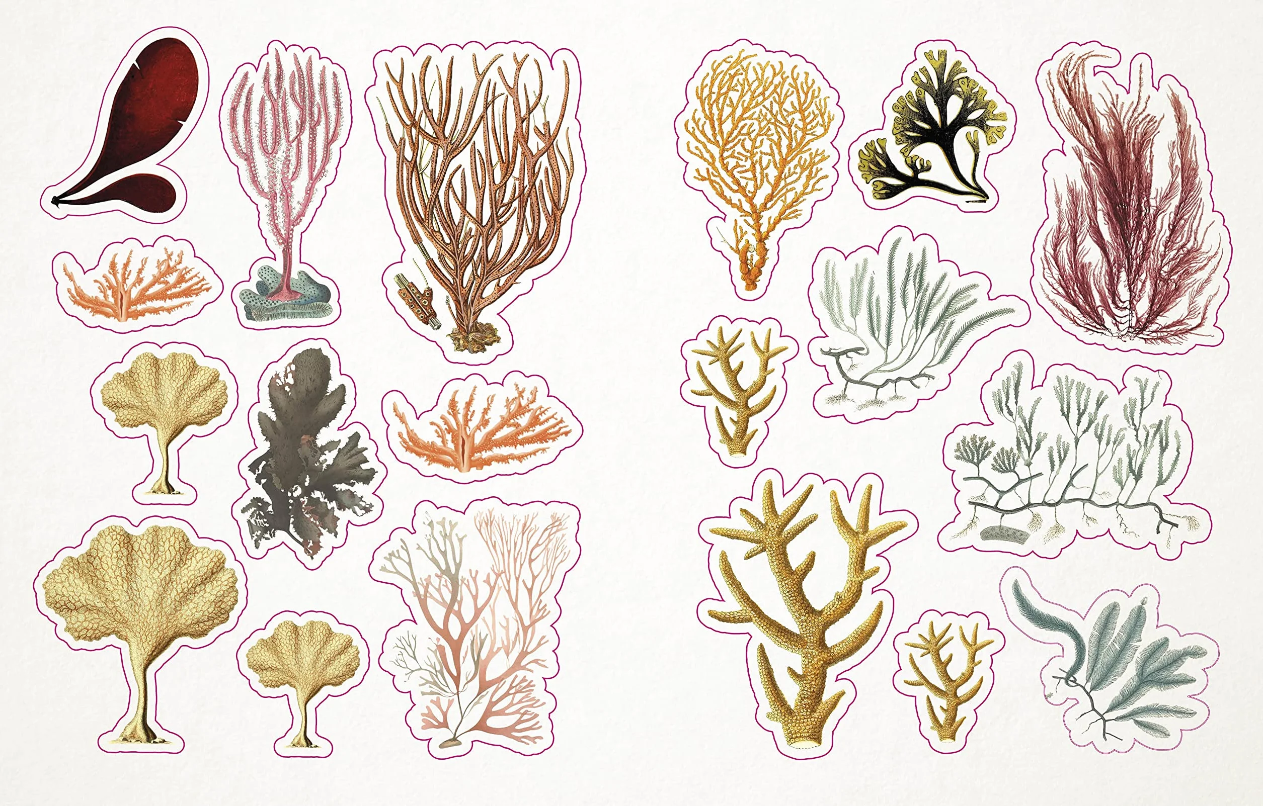 The Seashore Sticker Anthology: With More Than 1,000 Vintage Stickers