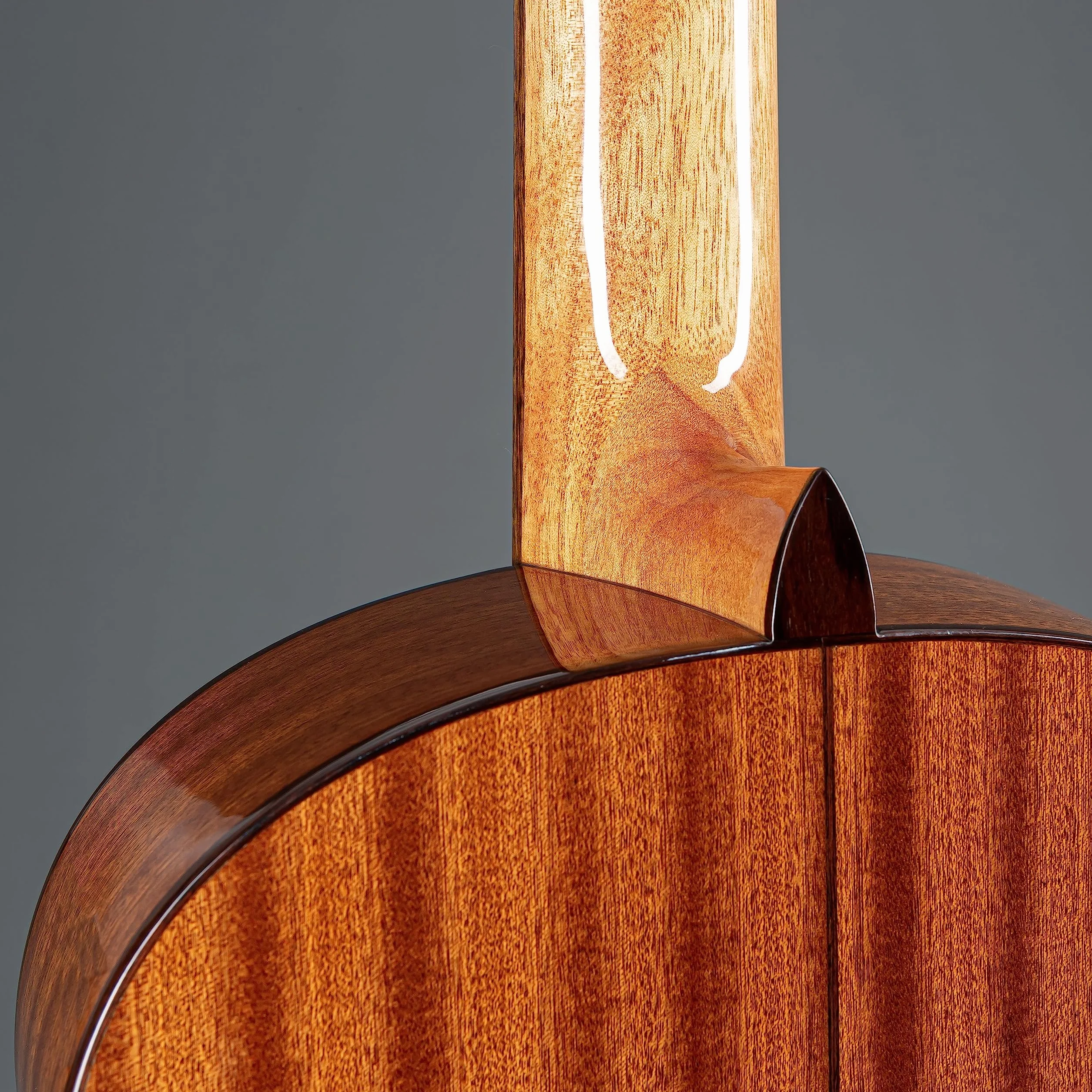 Cordoba C5 CD - Gitara klasyczna w rozmiarze 4/4