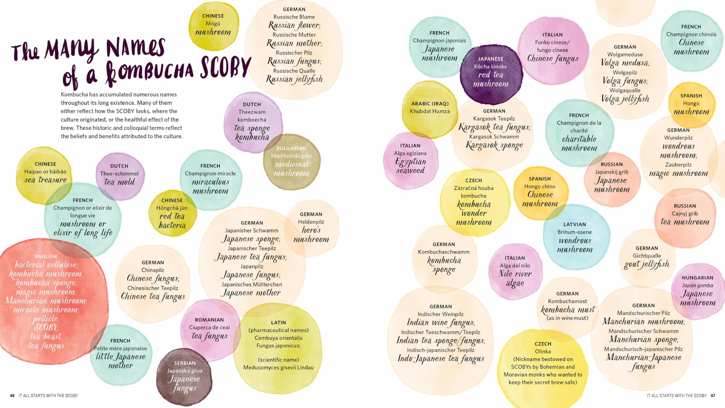 The Big Book of Kombucha: Brewing, Flavoring, and Enjoying the Health Benefits of Fermented Tea