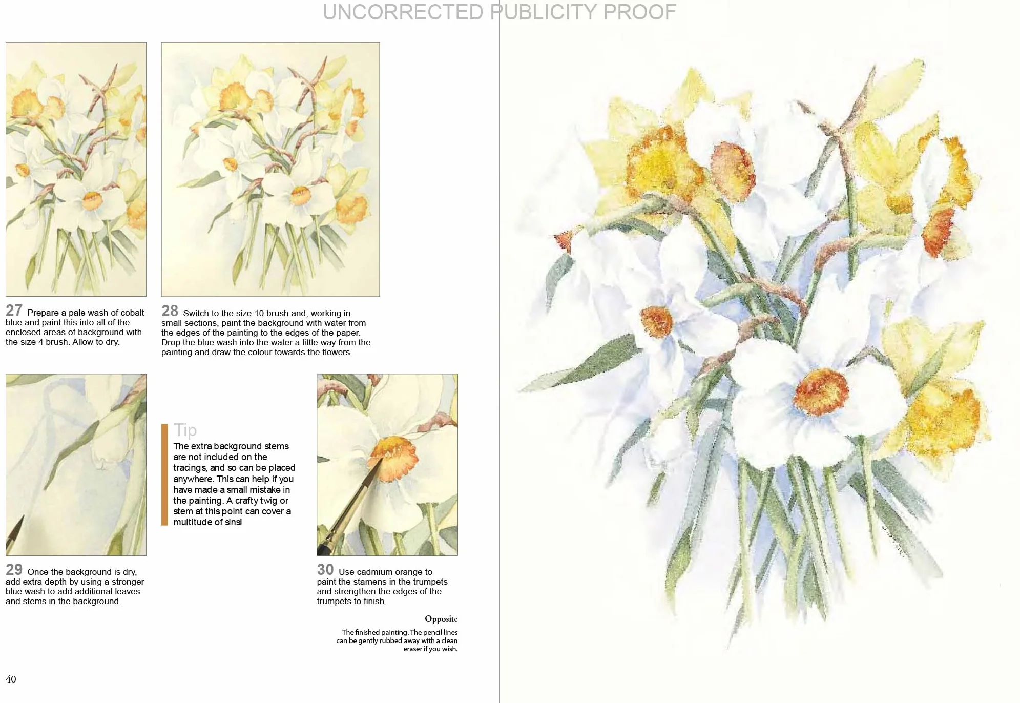 Ready to Paint Watercolour Flowers