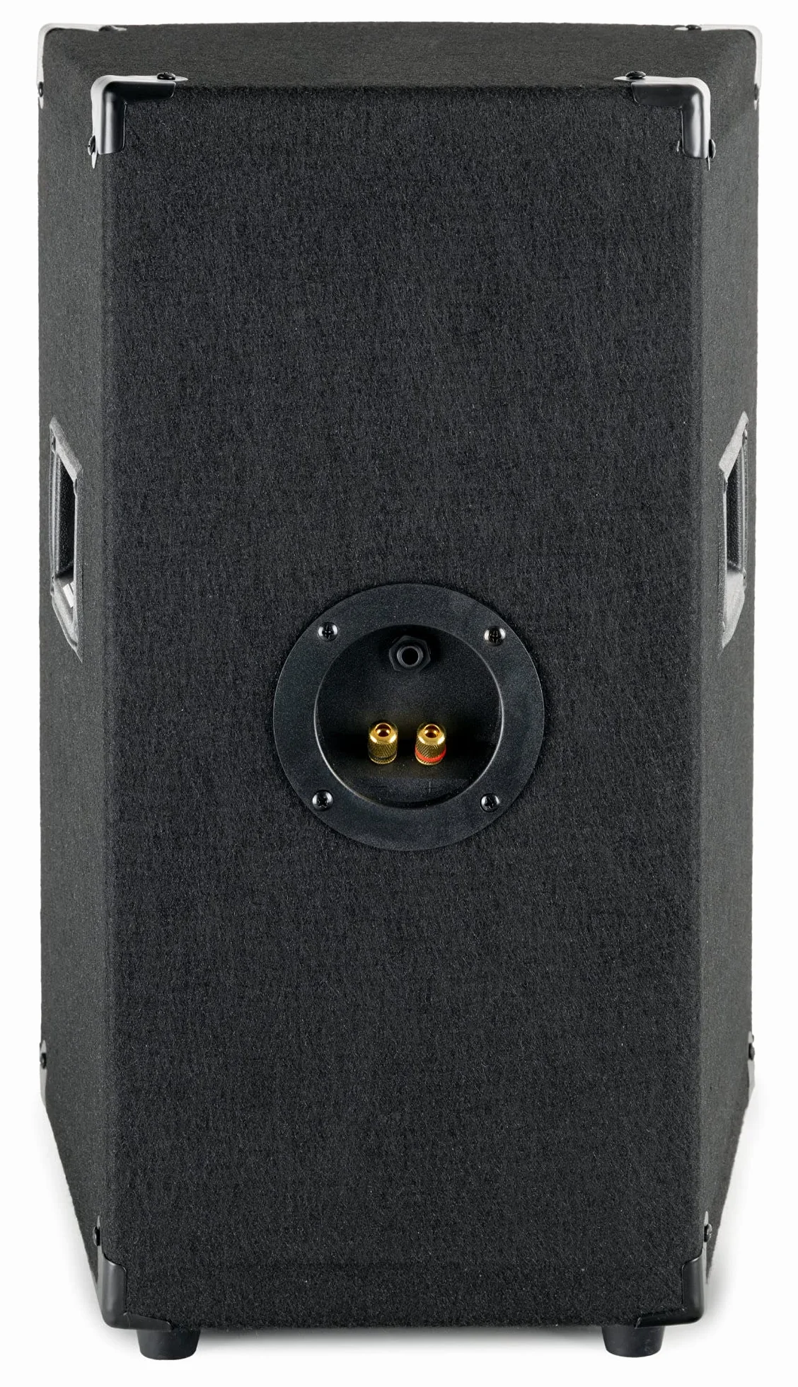 McGrey TP-10 DJ PA głośnik Box 25 cm (10") subwoofer 400 W (pasywny, system 2-drożny, drewniana obudowa)