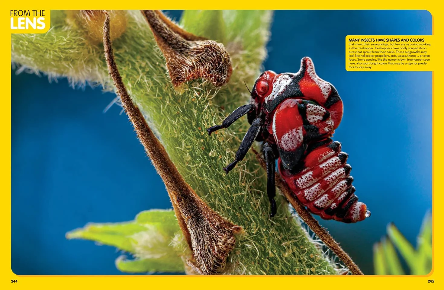 Animal Encyclopedia: 2,500 Animals with Photos, Maps, and More!