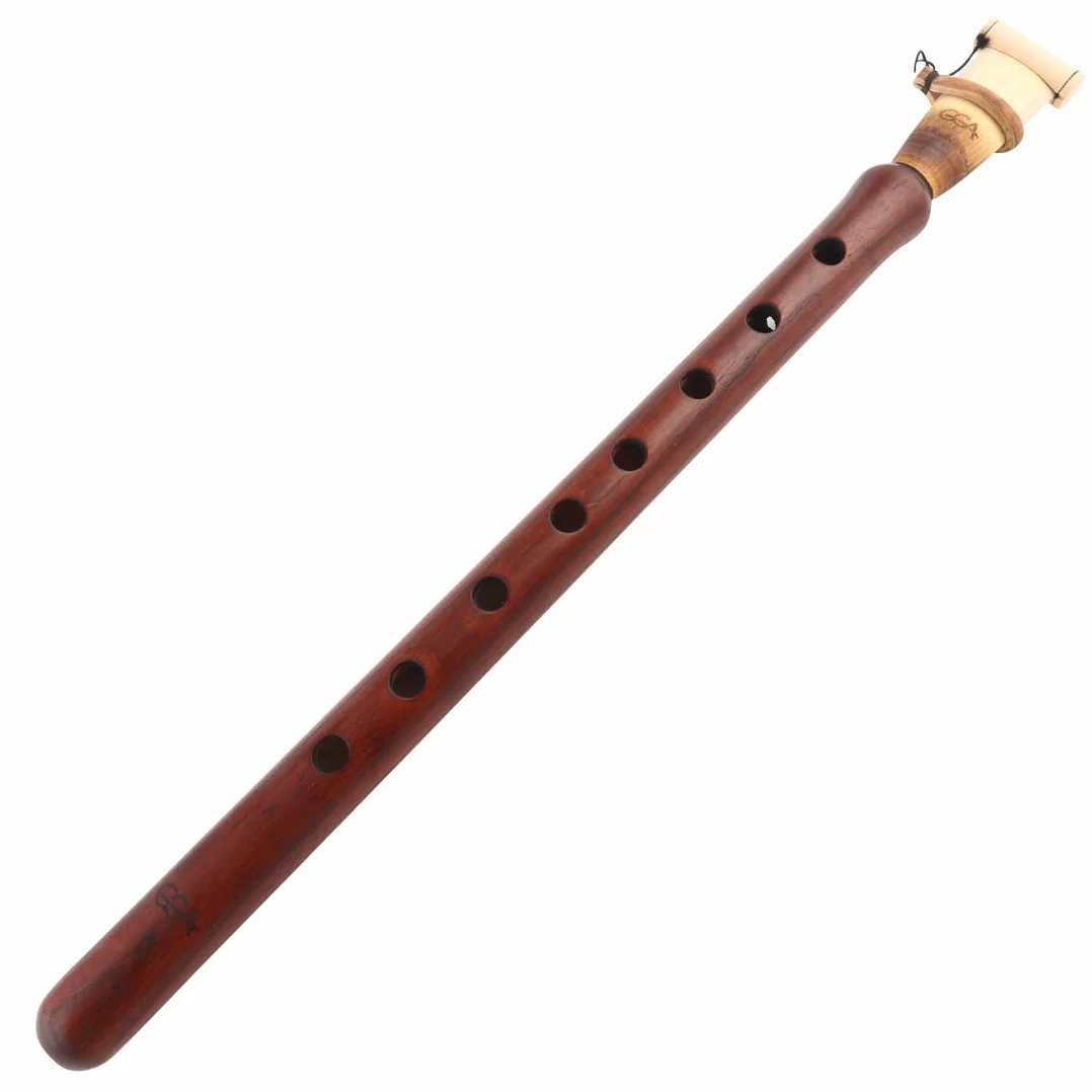 Koncert Ormiański Duduk Master Galstyan Klucz 'B' Miękki futerał Klasyczny (bordowy)