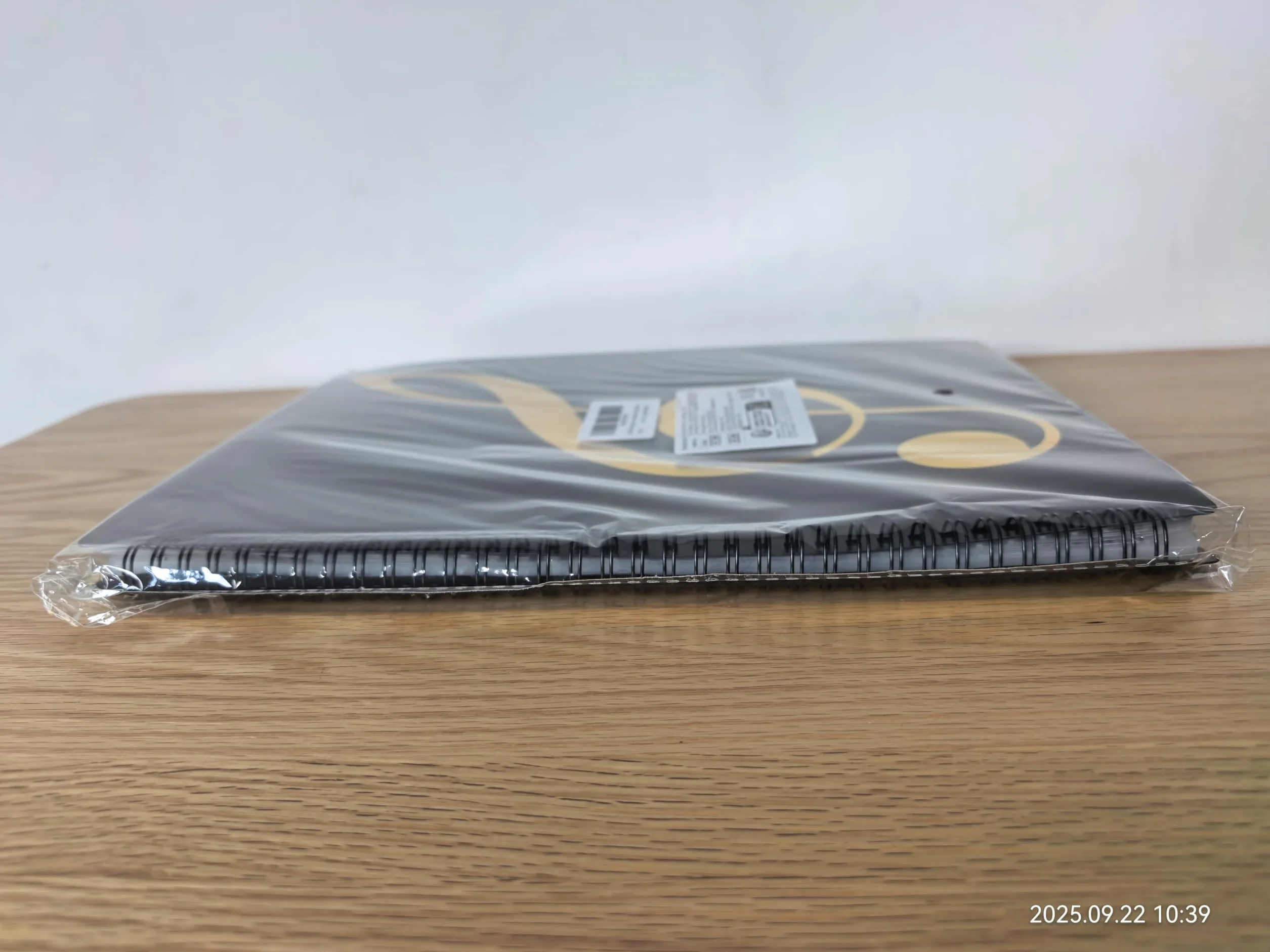 Teczka na nuty A4, uchwyt na nuty, umożliwia adnotacje, eliminuje odblaski, 60 stron, spiralny organizer do segregatora, przechowywanie nut