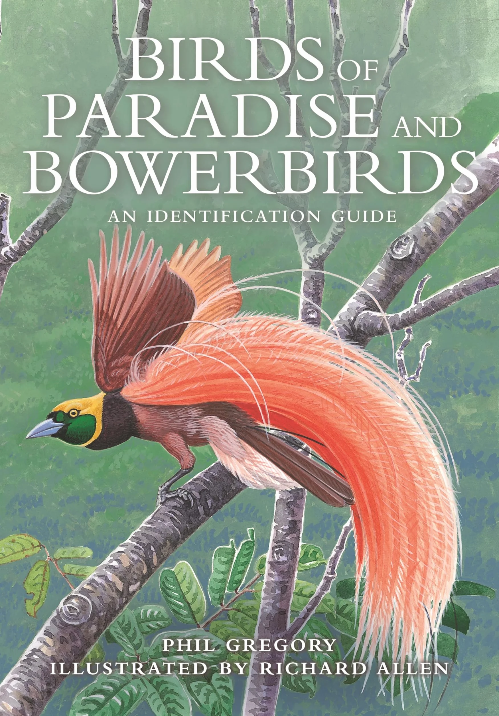 Birds of Paradise and Bowerbirds: An Identification Guide