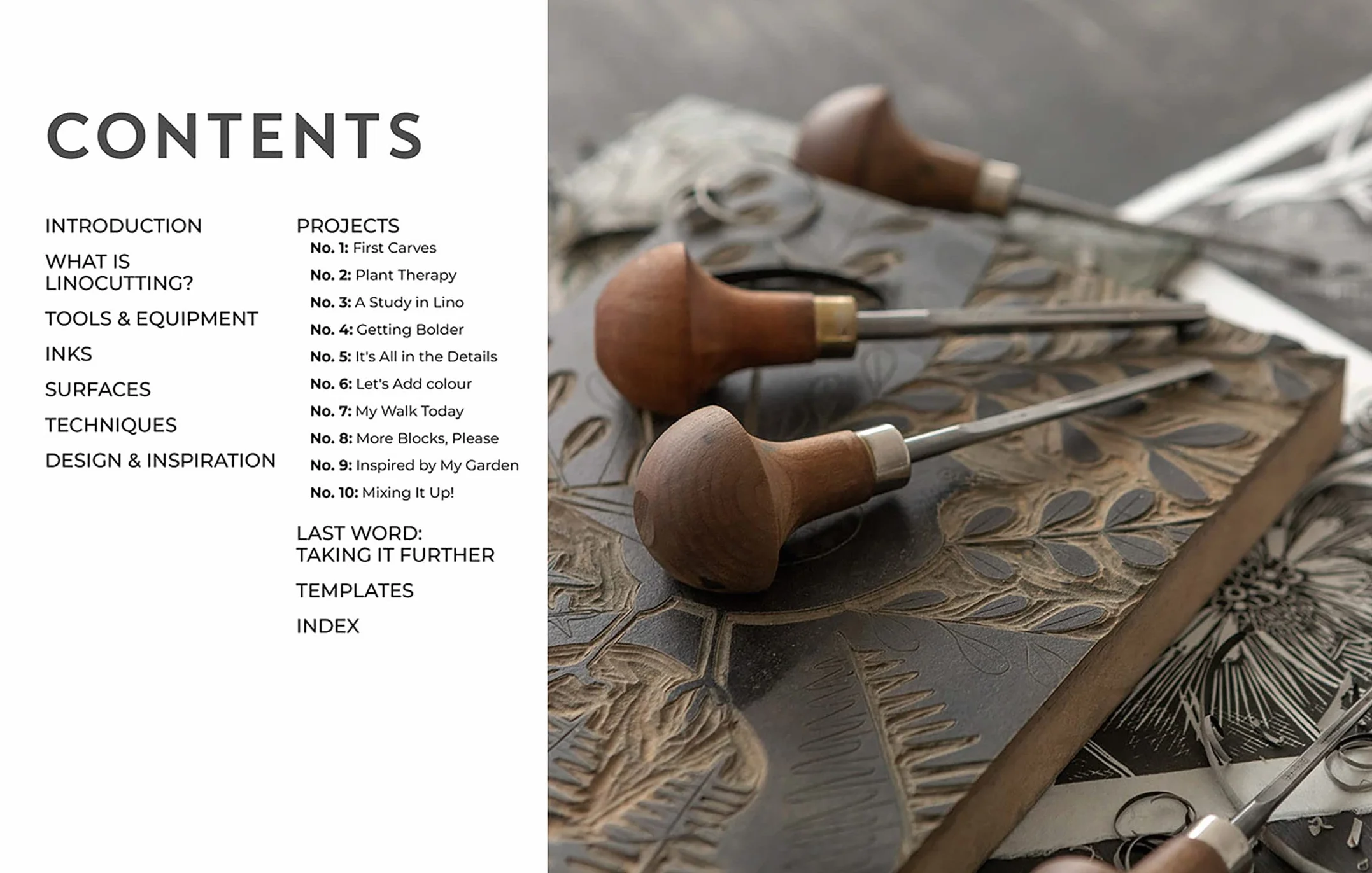 Nature Imprinted: A Complete Guide to Lino Printing, with 10 Nature Inspired Designs