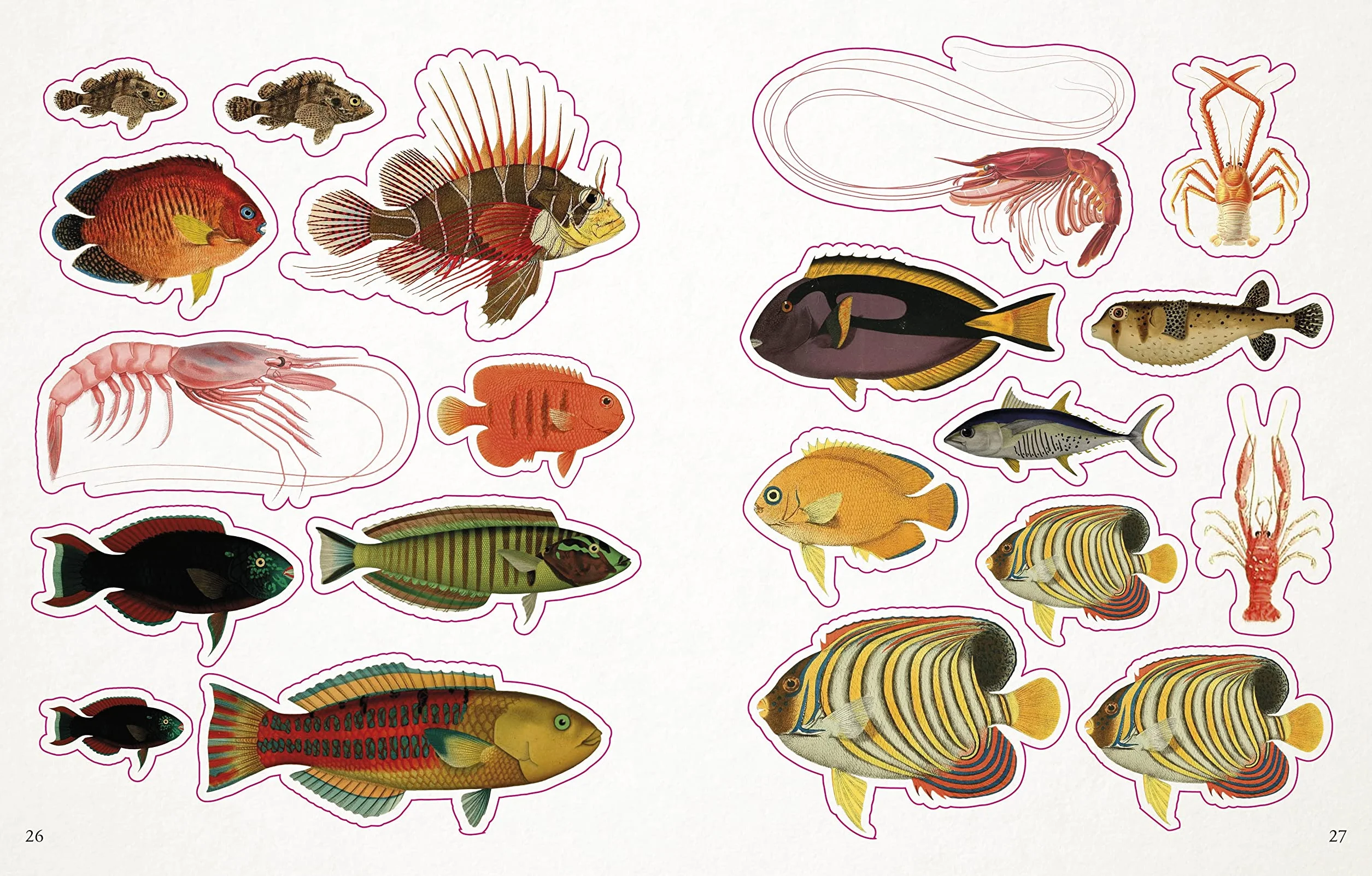 The Seashore Sticker Anthology: With More Than 1,000 Vintage Stickers