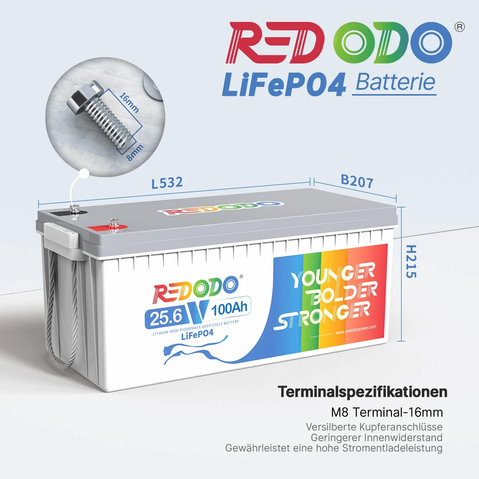 Redodo Bateria litowa LiFePO4 25,6V 100Ah, Akumulator LiFEPO4 Wbudowany 100A BMS, 4000+ Cykli, 10 Lat Żywotności, Bateria Lifepo4 24V Odpowiednia Do Przyczep Kempingowych, awaryjne zasilanie domu