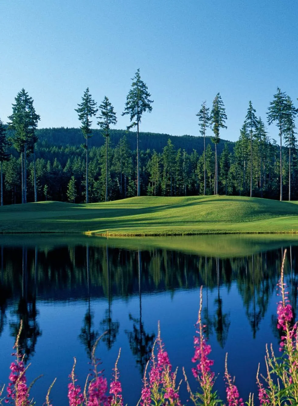 150 golf courses you need to visit before you die /anglais: A Selection of the 150 Most Marvelous Golf Courses in the World