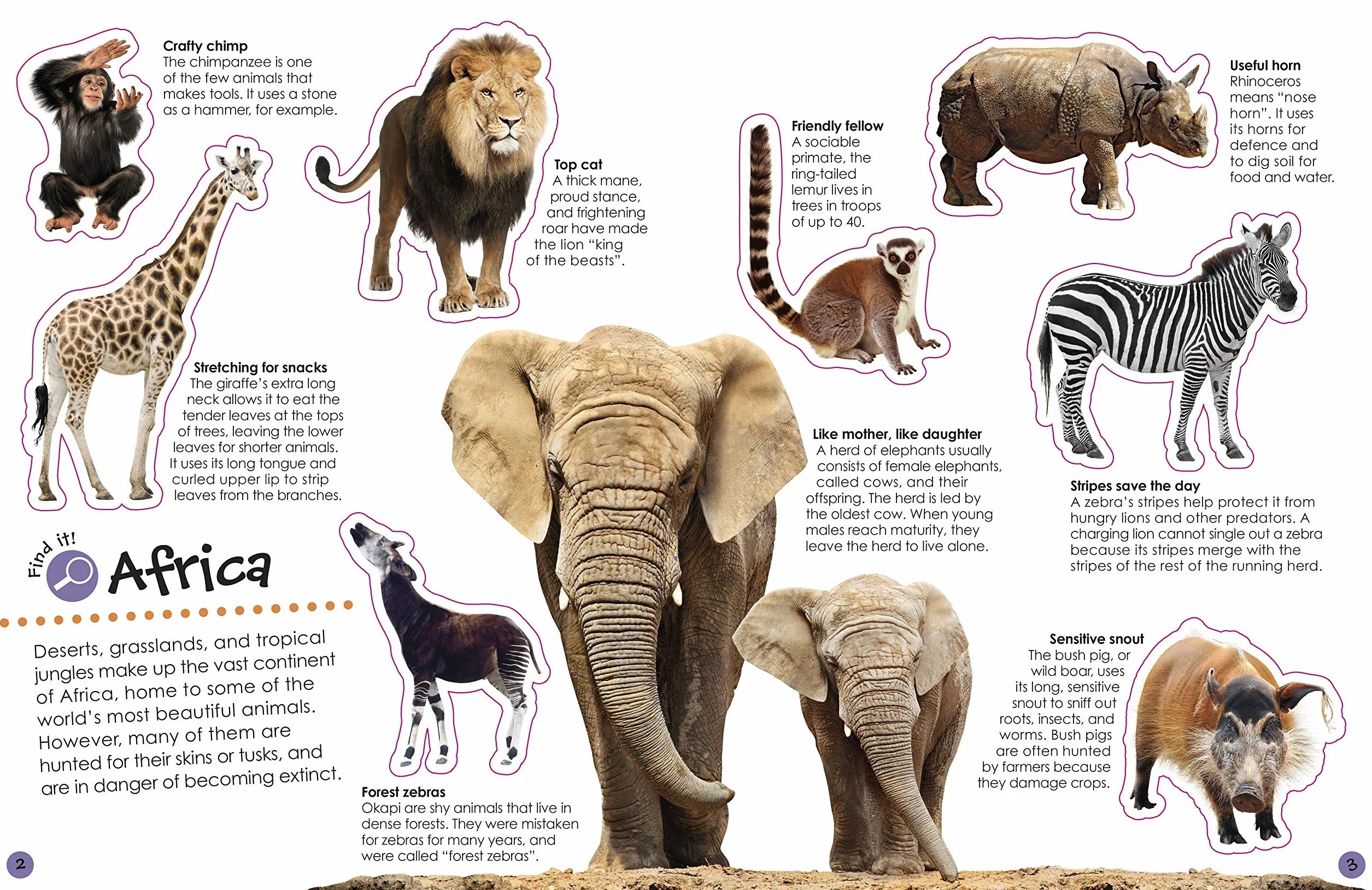 Ultimate Sticker Book Animals: More than 250 Reusable Stickers