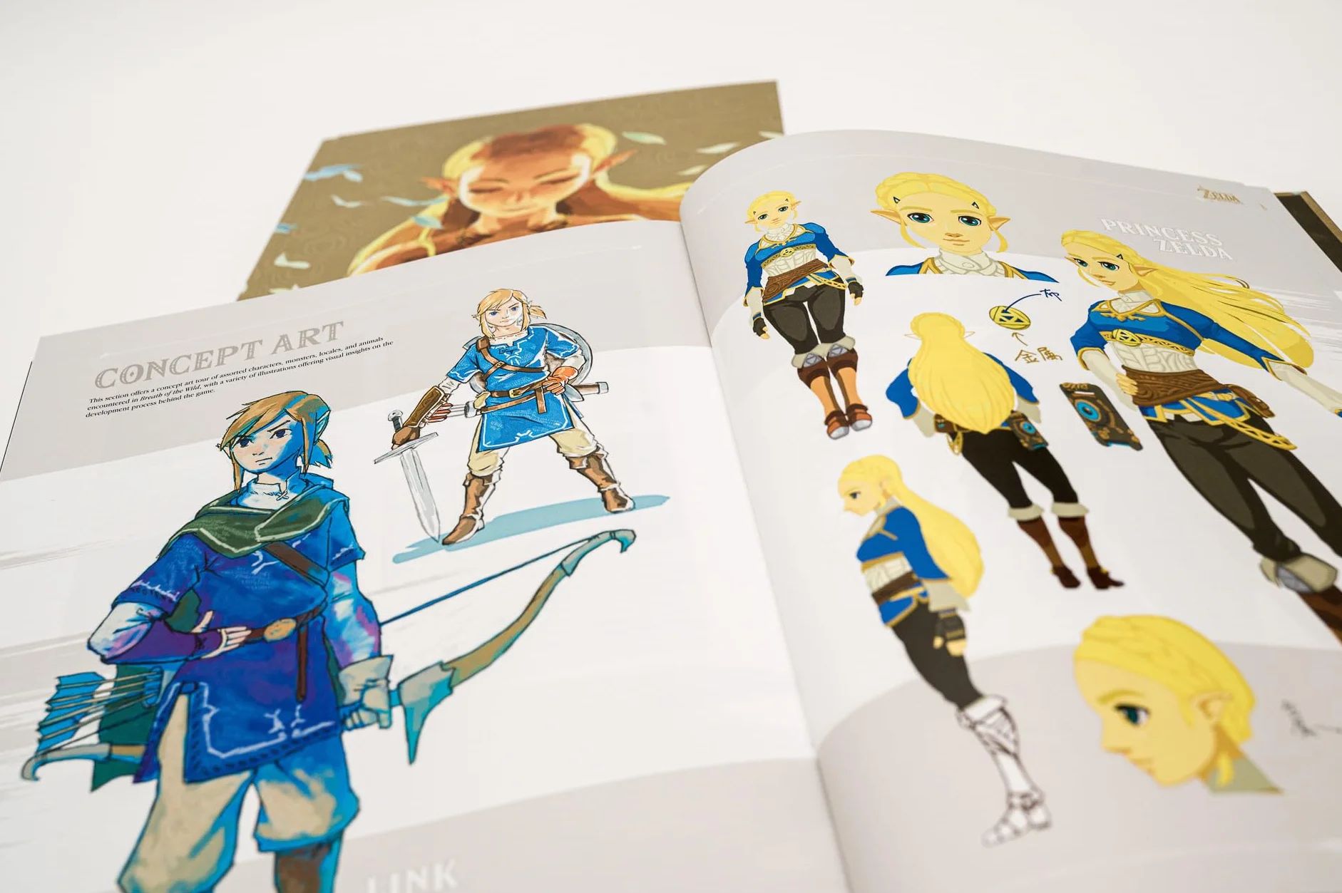 The Legend of Zelda: Breath of the Wild: The Complete Official Guide - Expanded Edition