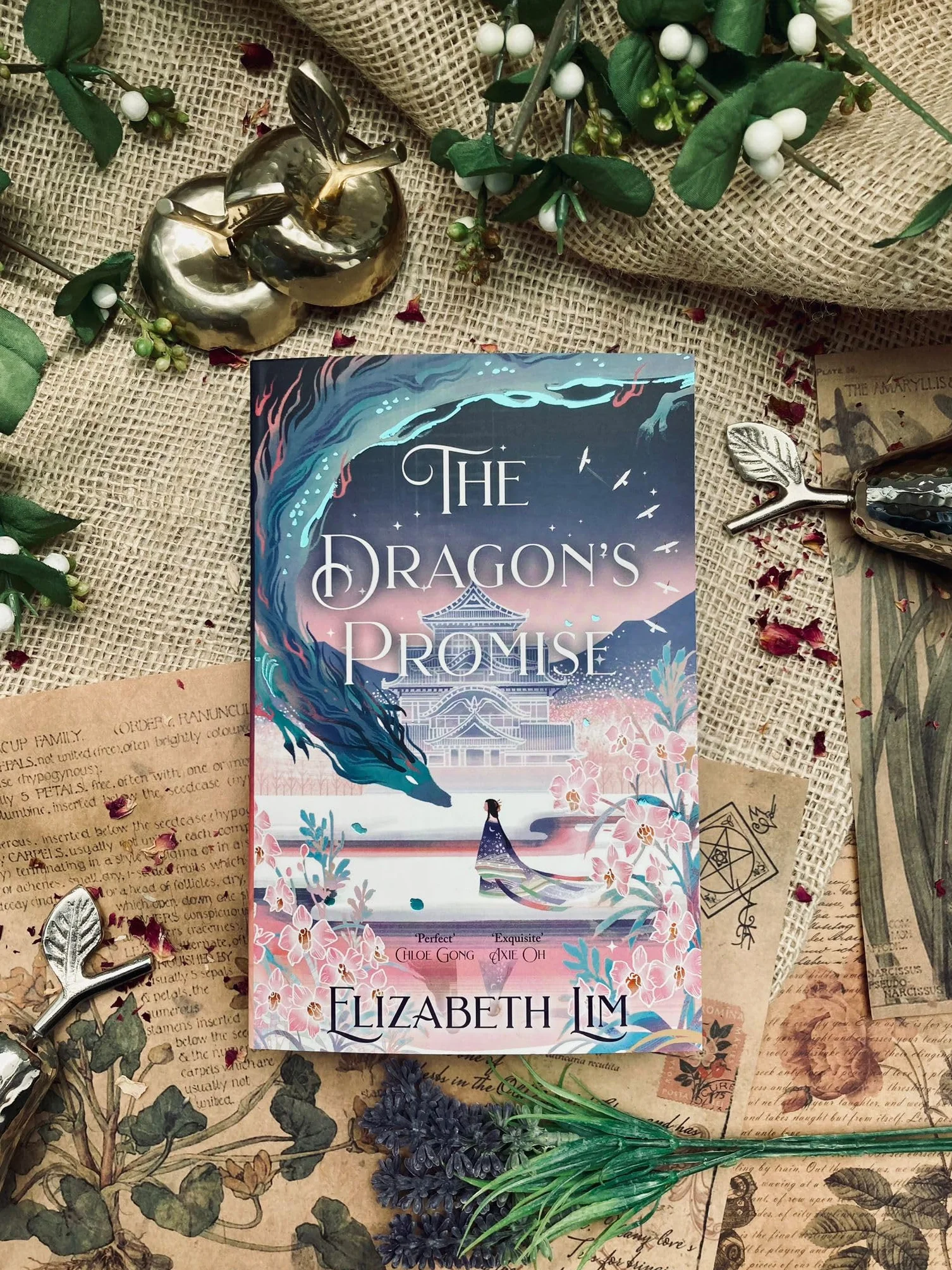 The Dragon's Promise: Elizabeth Lim: 2: the Sunday Times bestselling magical sequel to Six Crimson Cranes