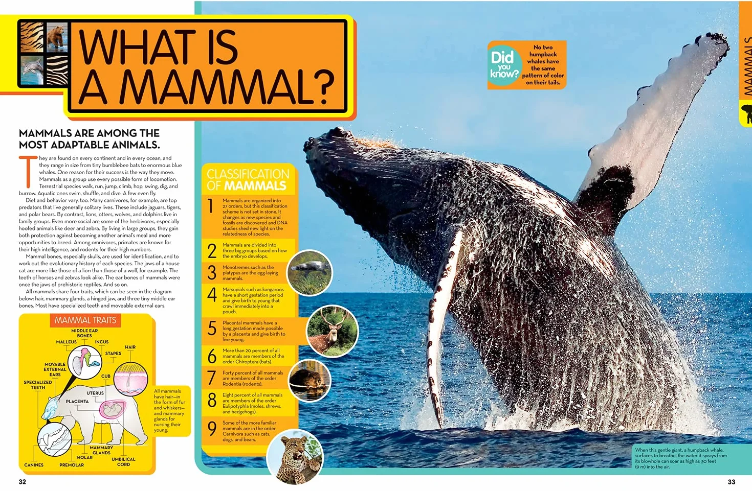 Animal Encyclopedia: 2,500 Animals with Photos, Maps, and More!