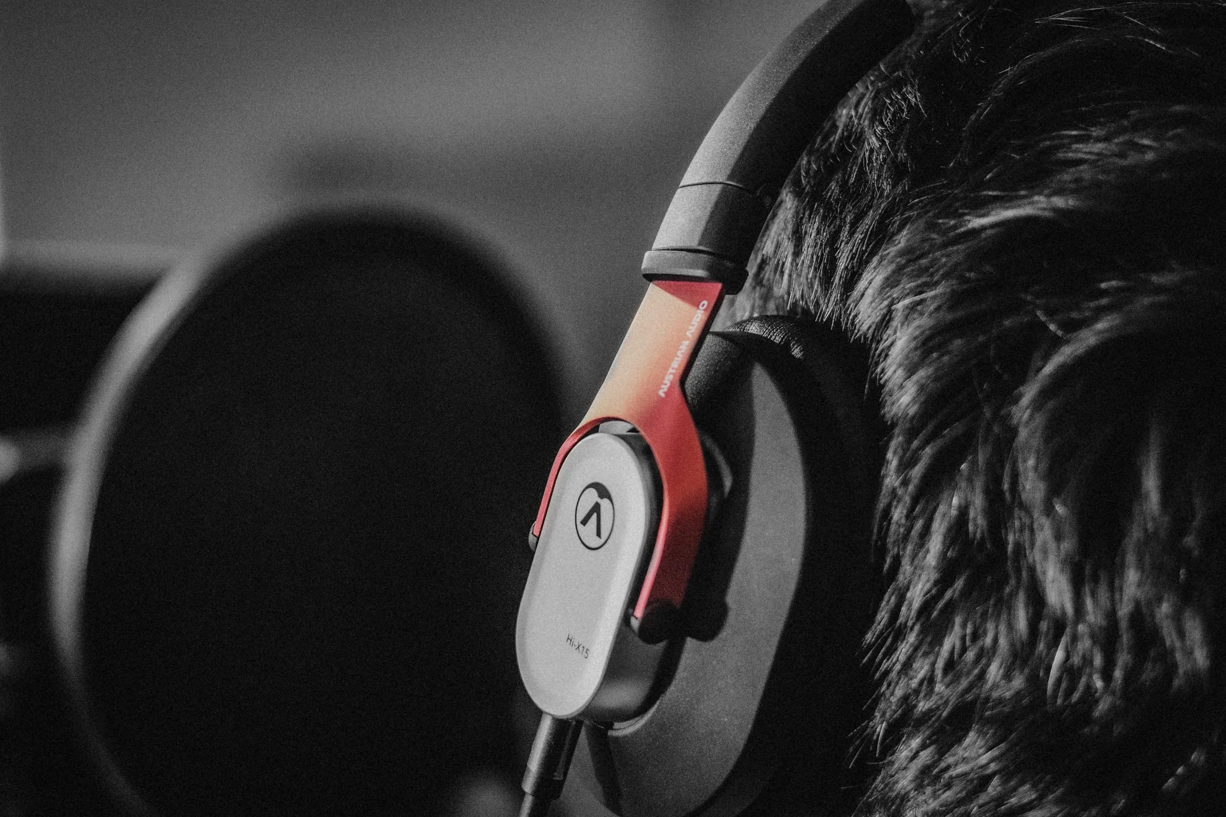 Austrian Audio 19004F10100 Słuchawki, Czarny/Czerwony