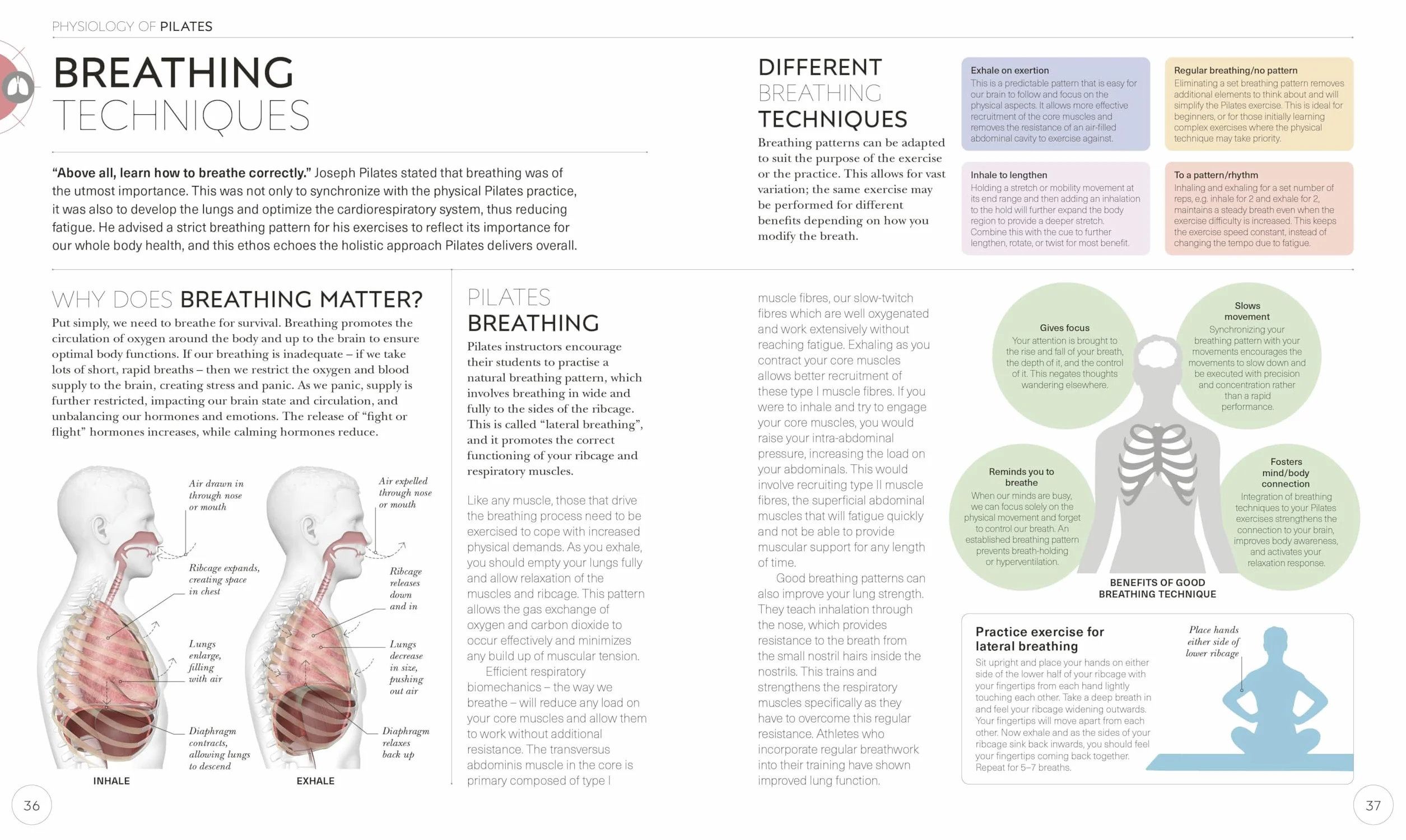 Science of Pilates: Understand the Anatomy and Physiology to Perfect Your Practice
