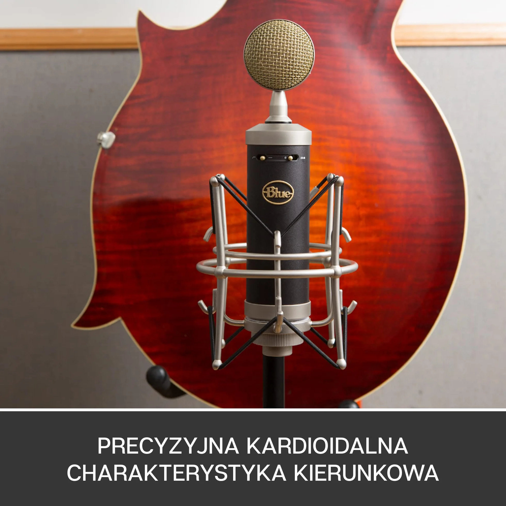 Blue Baby Bottle SL XLR Mikrofon Pojemnościowy Kardioidalny do Pro Gamingu, Nagrywania, Streamingu, Podcastów, Shockmount, Filtr Górnoprzepustowy, Ciepły Dźwięk Vintage, Ochronne Etui - Czarny
