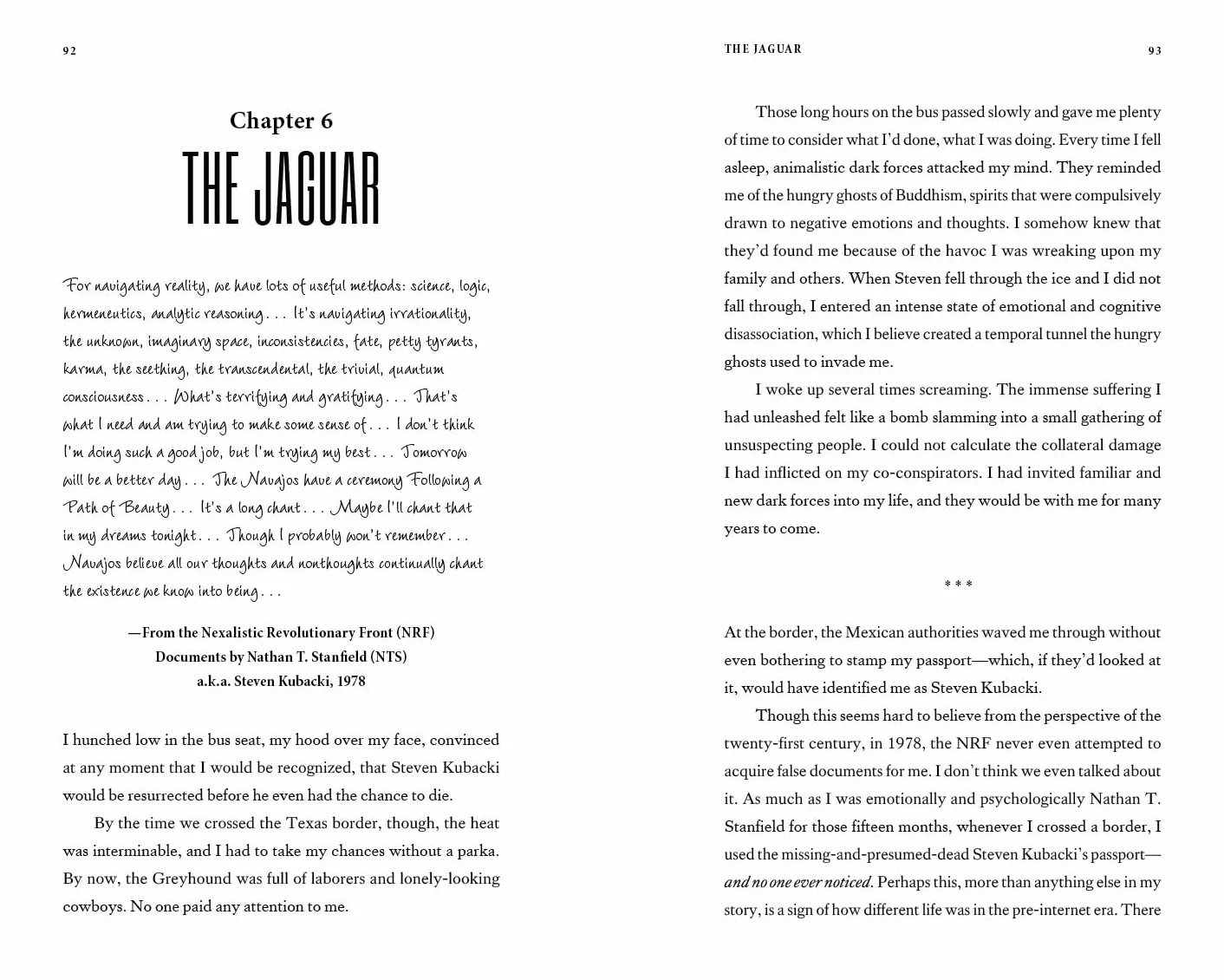 The Disappearance: Conspiracy, Revolution, Revelation... the Extraordinary Disappearance of Steven Kubacki (Unexplained Mysteries)