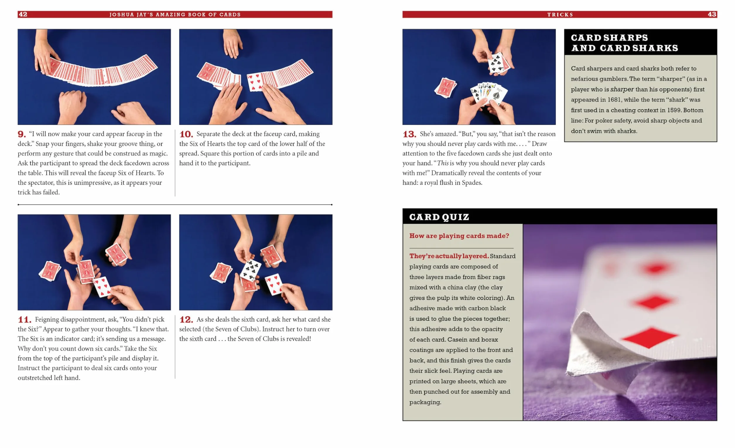 Joshua Jay's Amazing Book of Cards: Tricks, Shuffles, Stunts & Hustles Plus Bets You Can't Lose