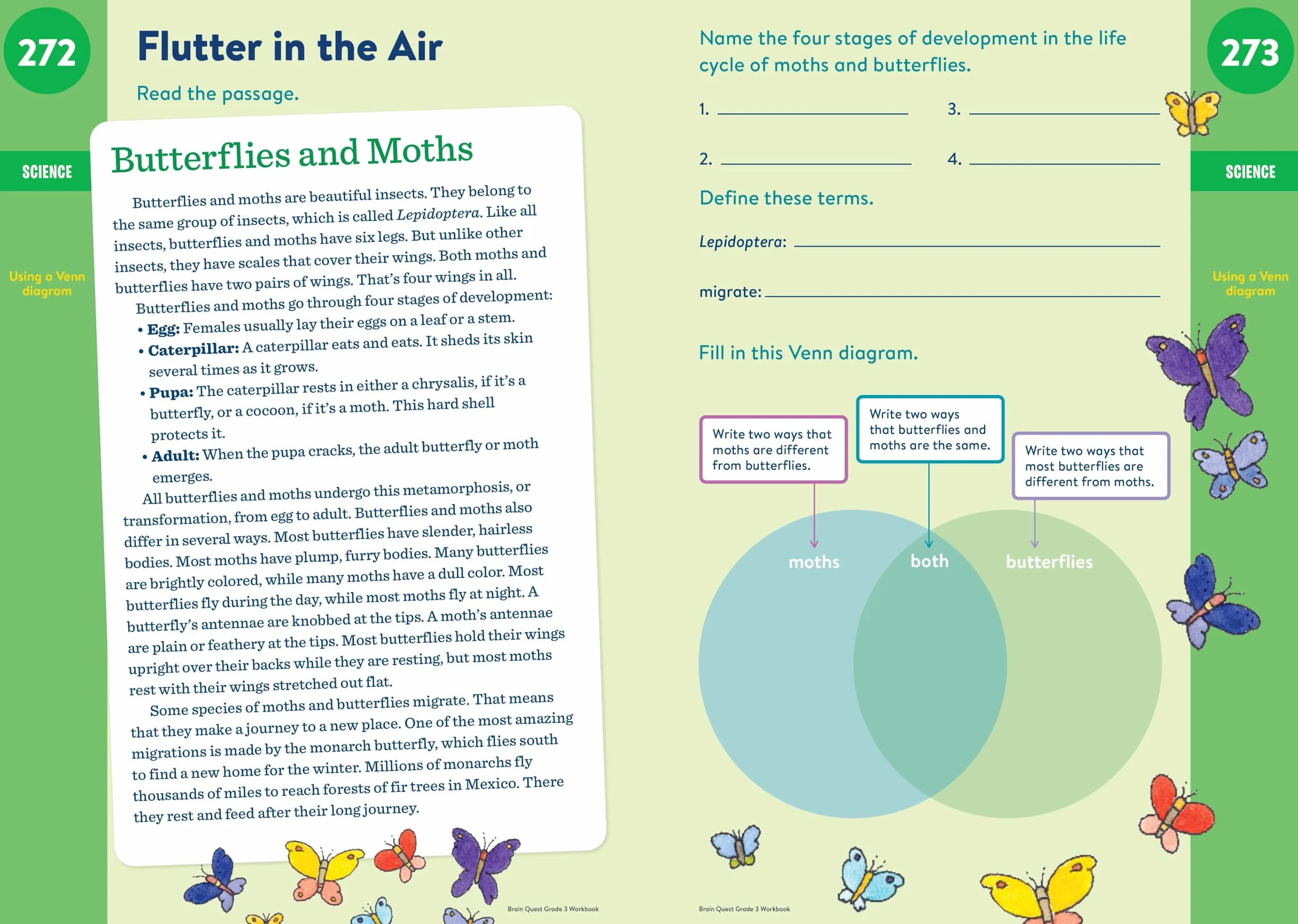Brain Quest Workbook: 3rd Grade Revised Edition