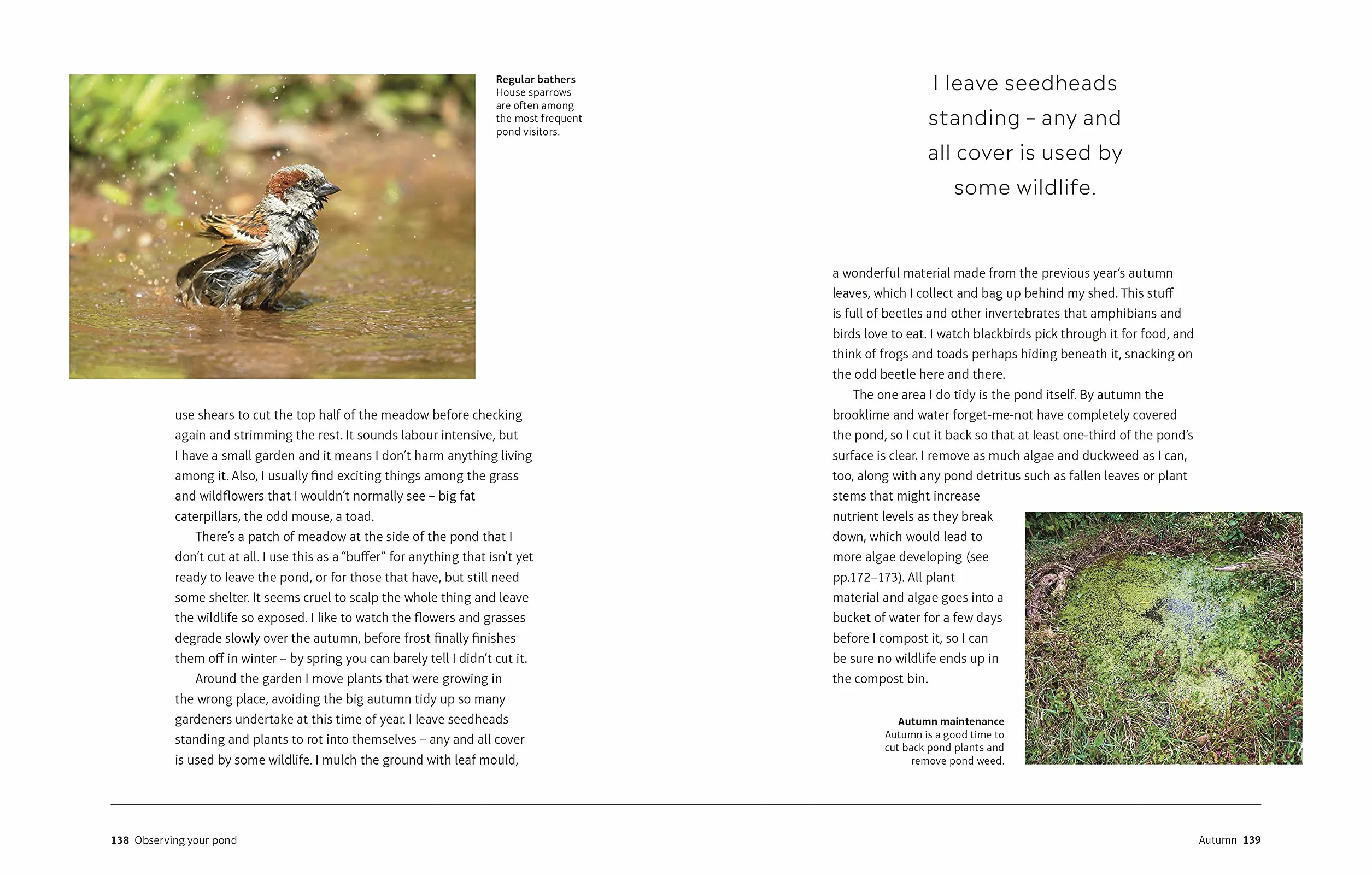 RHS How to Create a Wildlife Pond: Plan, Dig, and Enjoy a Natural Pond in Your Own Back Garden