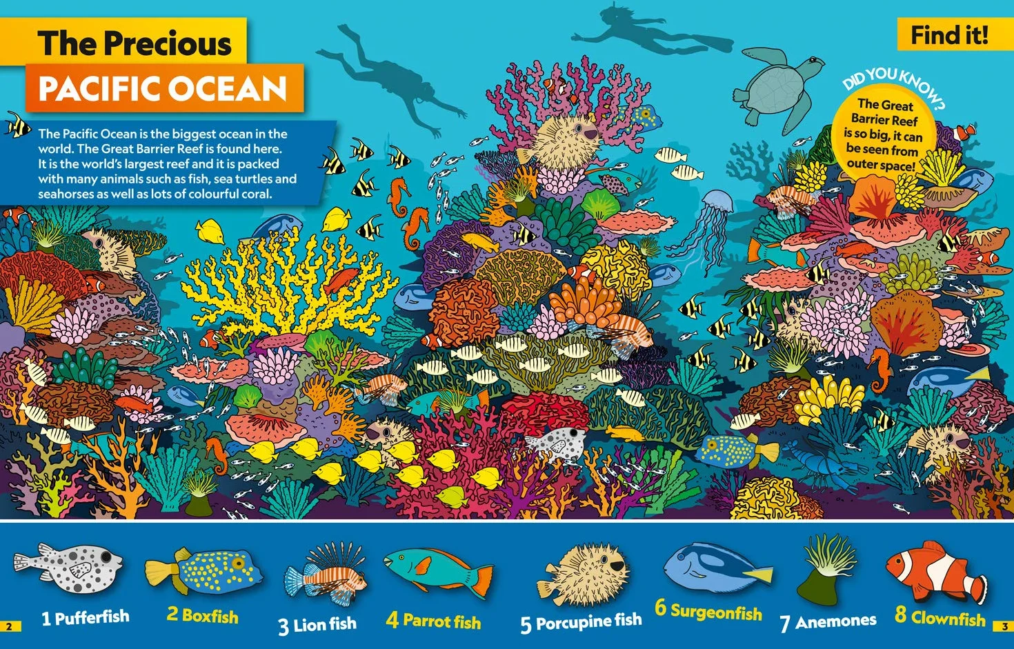 Oceans Find it! Explore it!: More than 250 things to find, facts and photos!