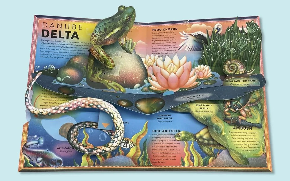 The Incredible Pop-up Frog: And other Wetland Creatures