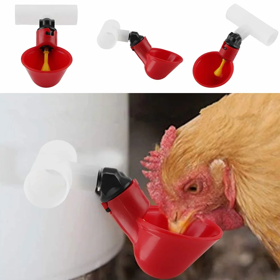 5 sztuk automatyczne plastikowe kubki do picia kurczaka poidełko do drobiu dozownik do wody kubki miski poidło do wody narzędzie dla ptaka przepiórka gołąb kurczak kura (20mm rura)