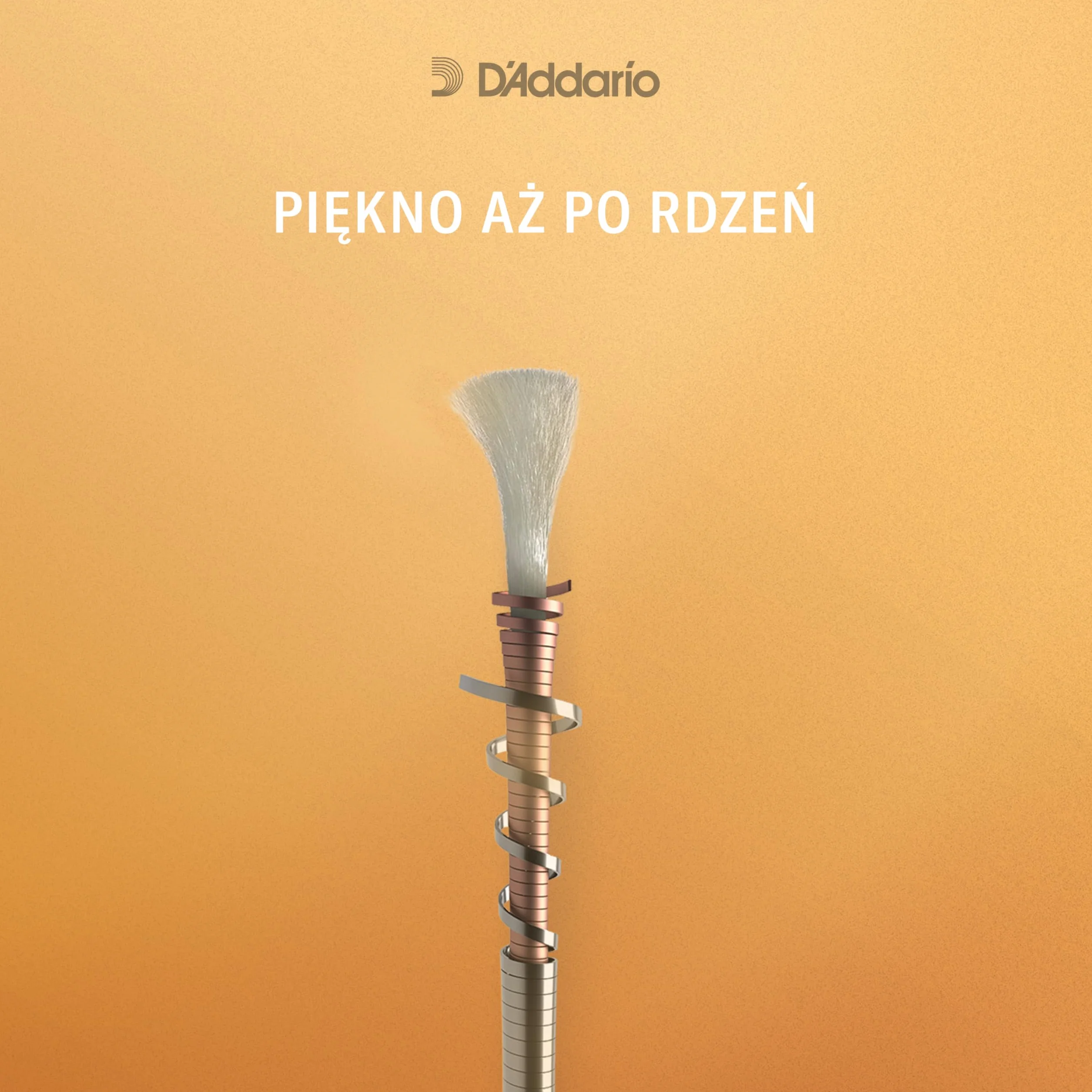 D'Addario A311 4/4M średnie napięcie Ascenté Violin E String, skala 4/4