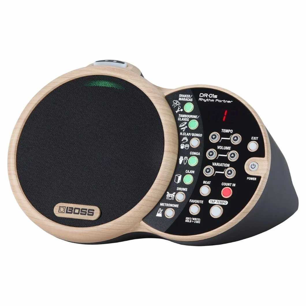 BOSS DR-01S Rhythm Partner