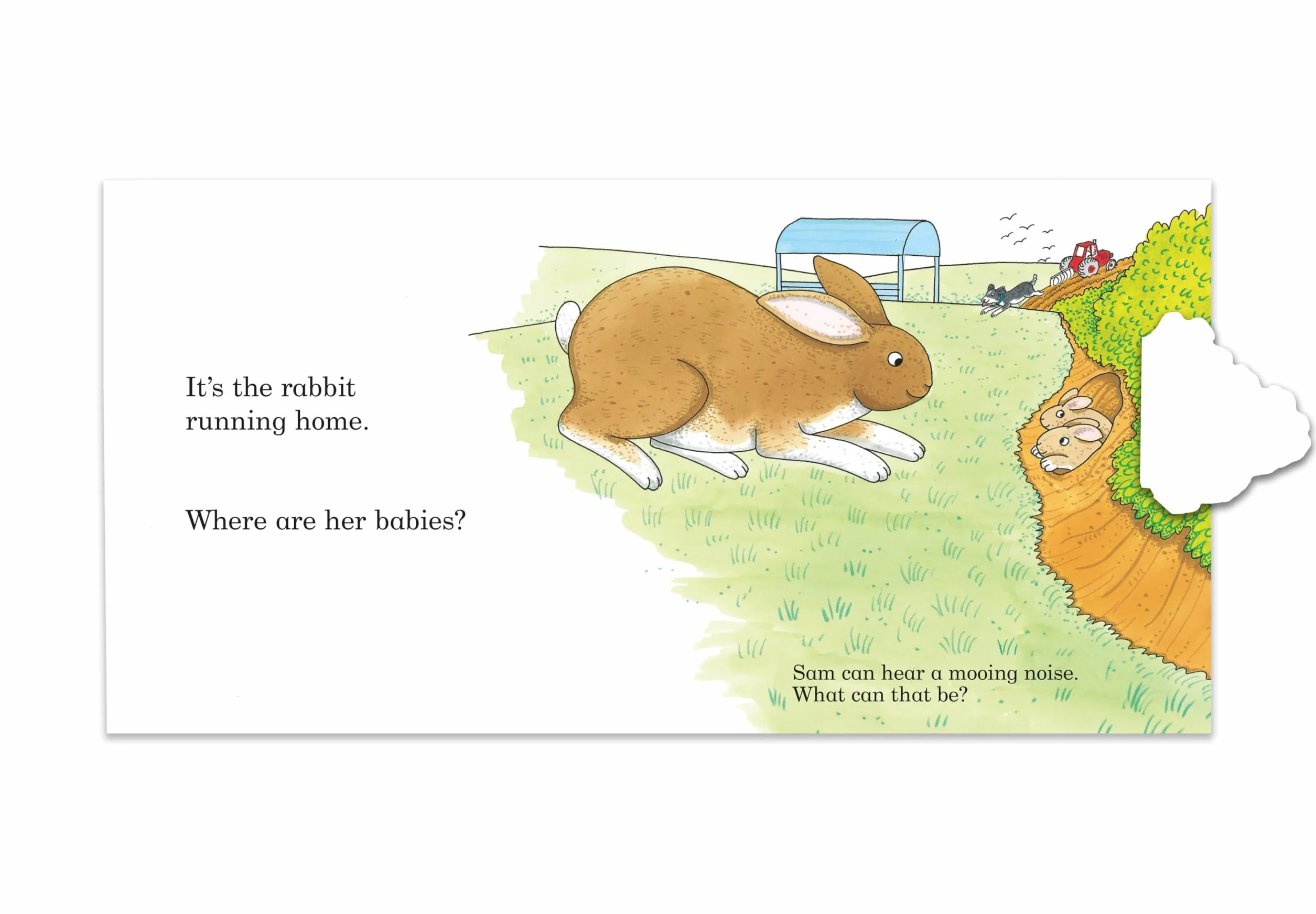 Noisy Farm: A lift-the-flap book