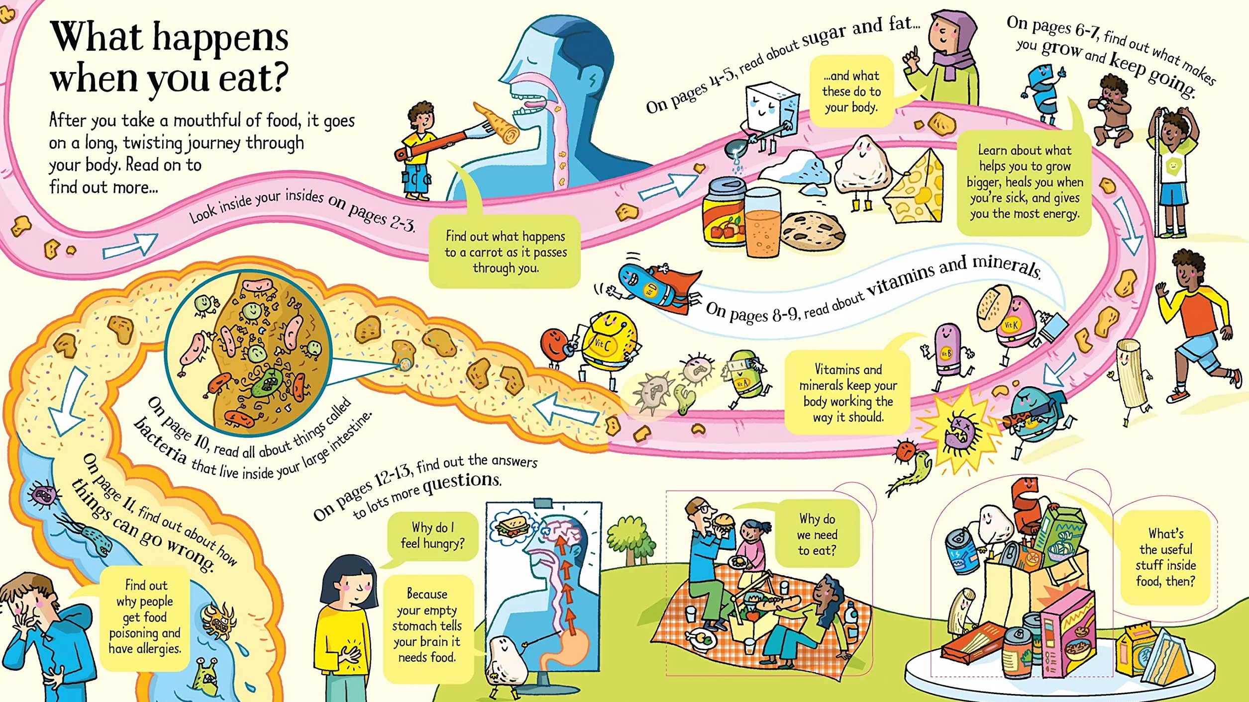 Look Inside What Happens When You Eat: 1