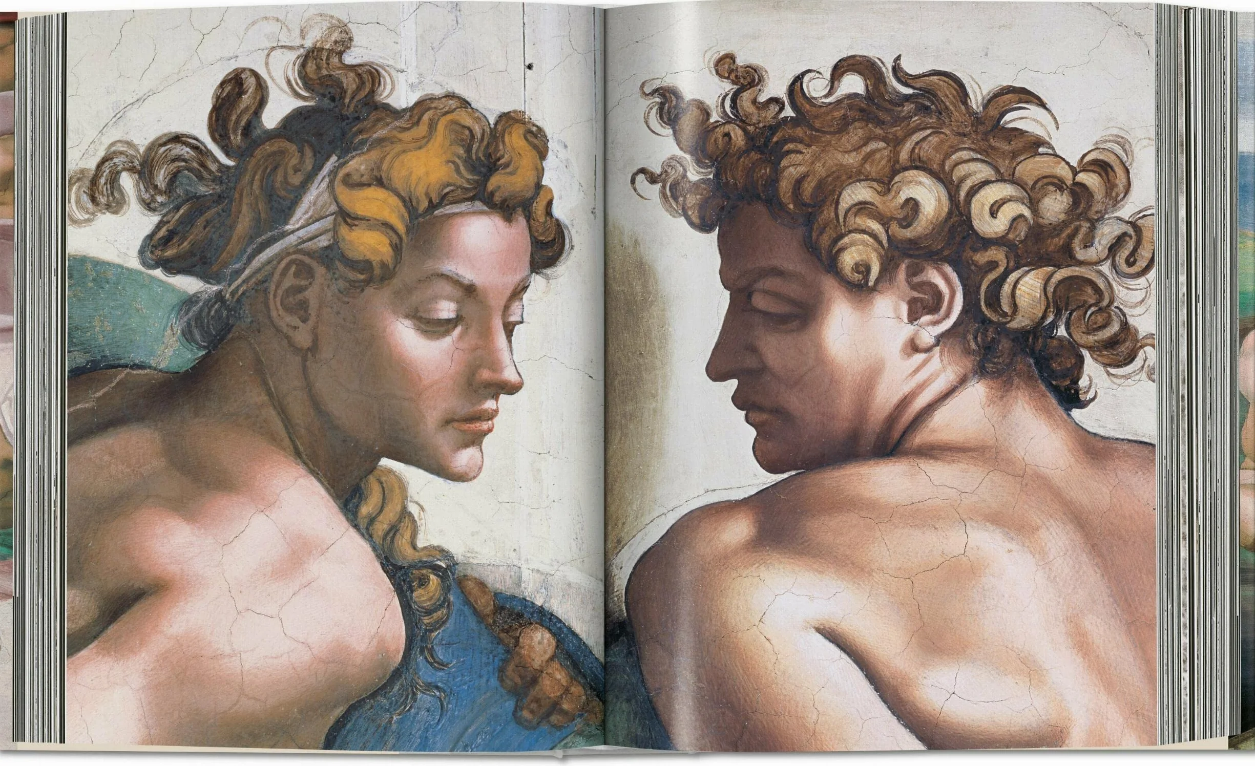 Michelangelo. the Complete Works. Paintings, Sculptures, Architecture
