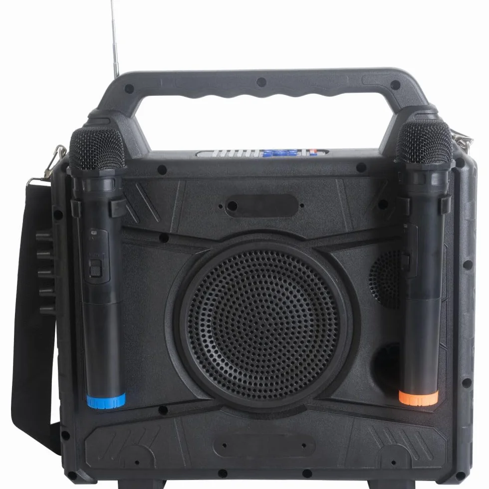 Ibiza KARAVISION Przenośny głośnik Karaoke z ekranem i 2x VHF Mics