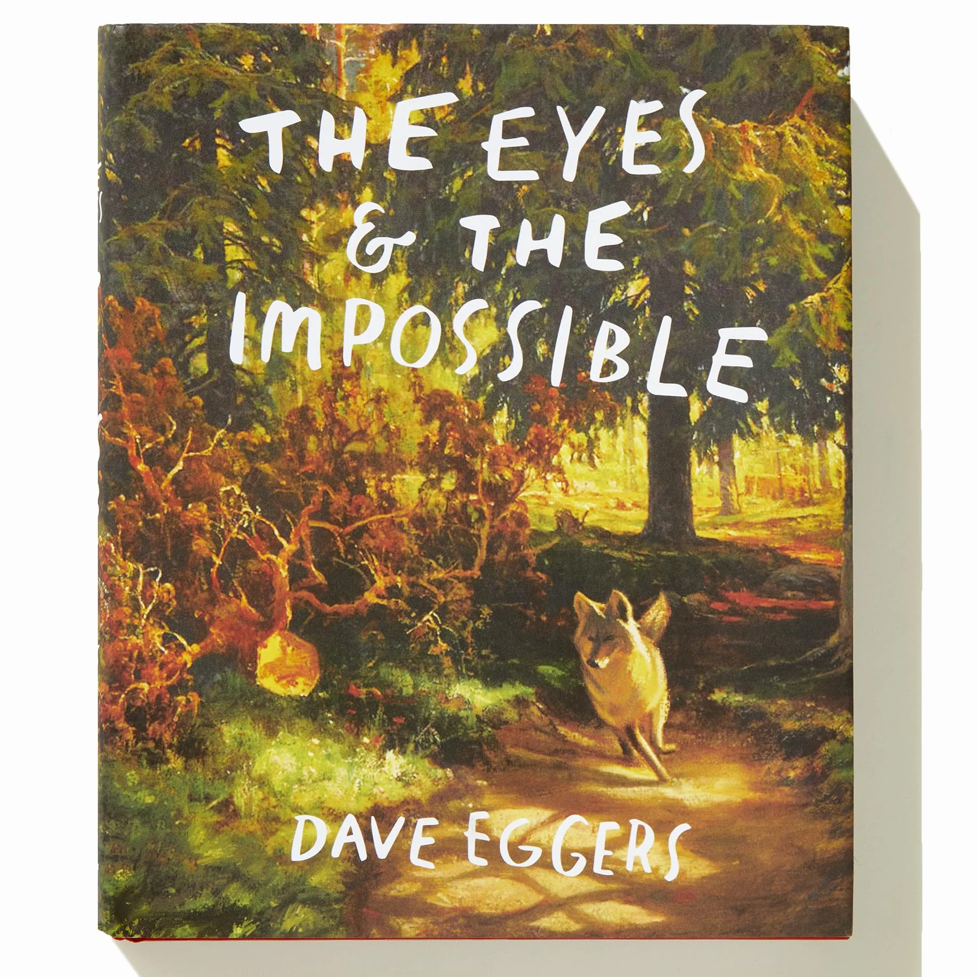 The Eyes and the Impossible: (Newbery Medal Winner)