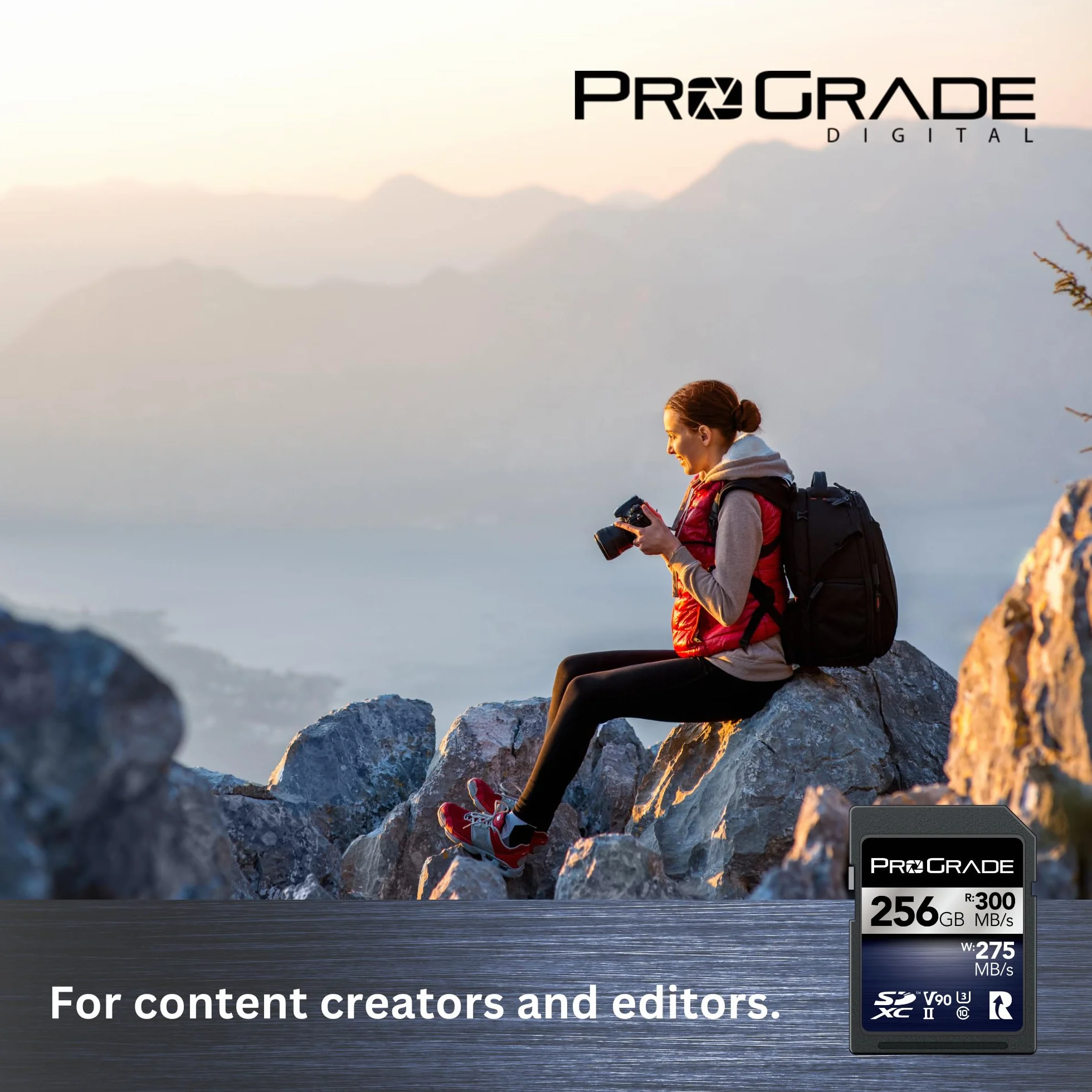 Karta pamięci ProGrade Digital SDXC UHS-II V90 Iridium (256GB)