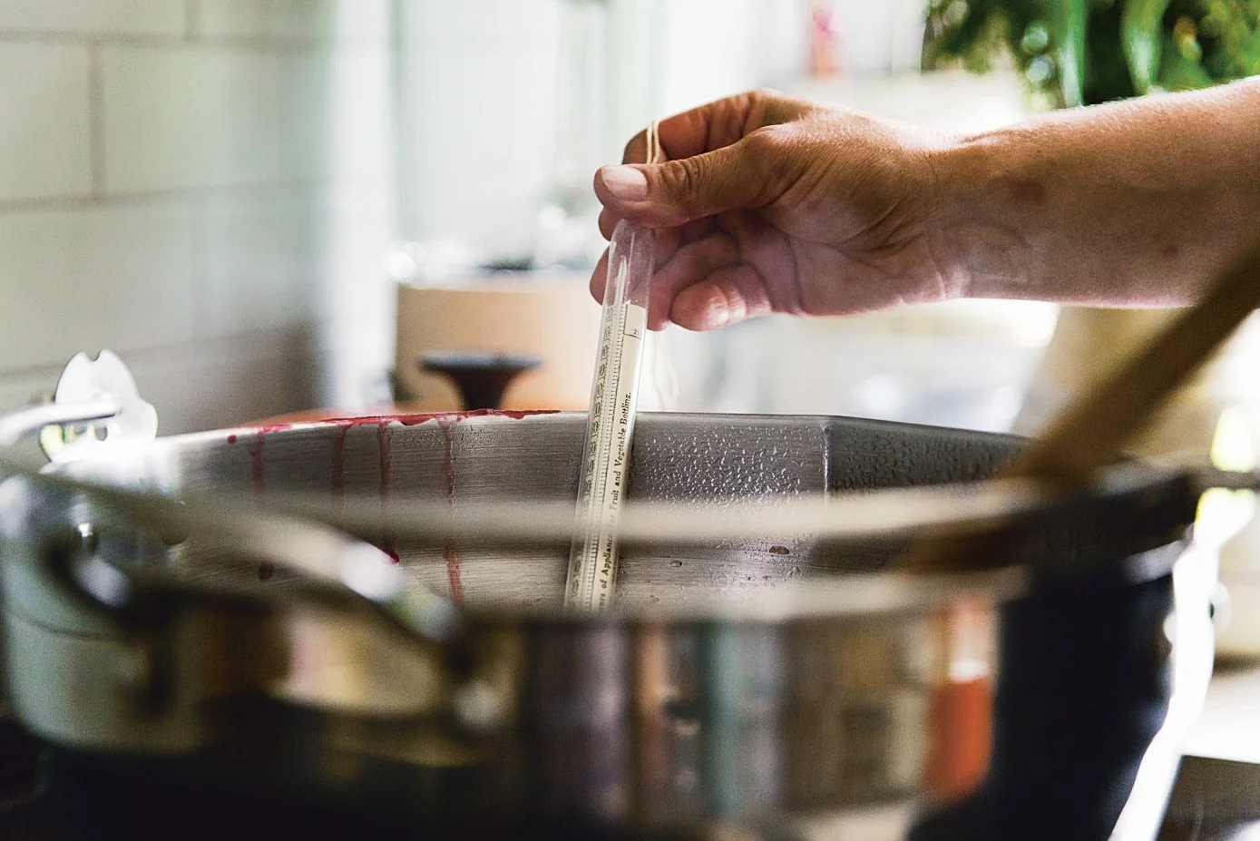 The Modern Preserver: A mindful cookbook packed with seasonal appeal
