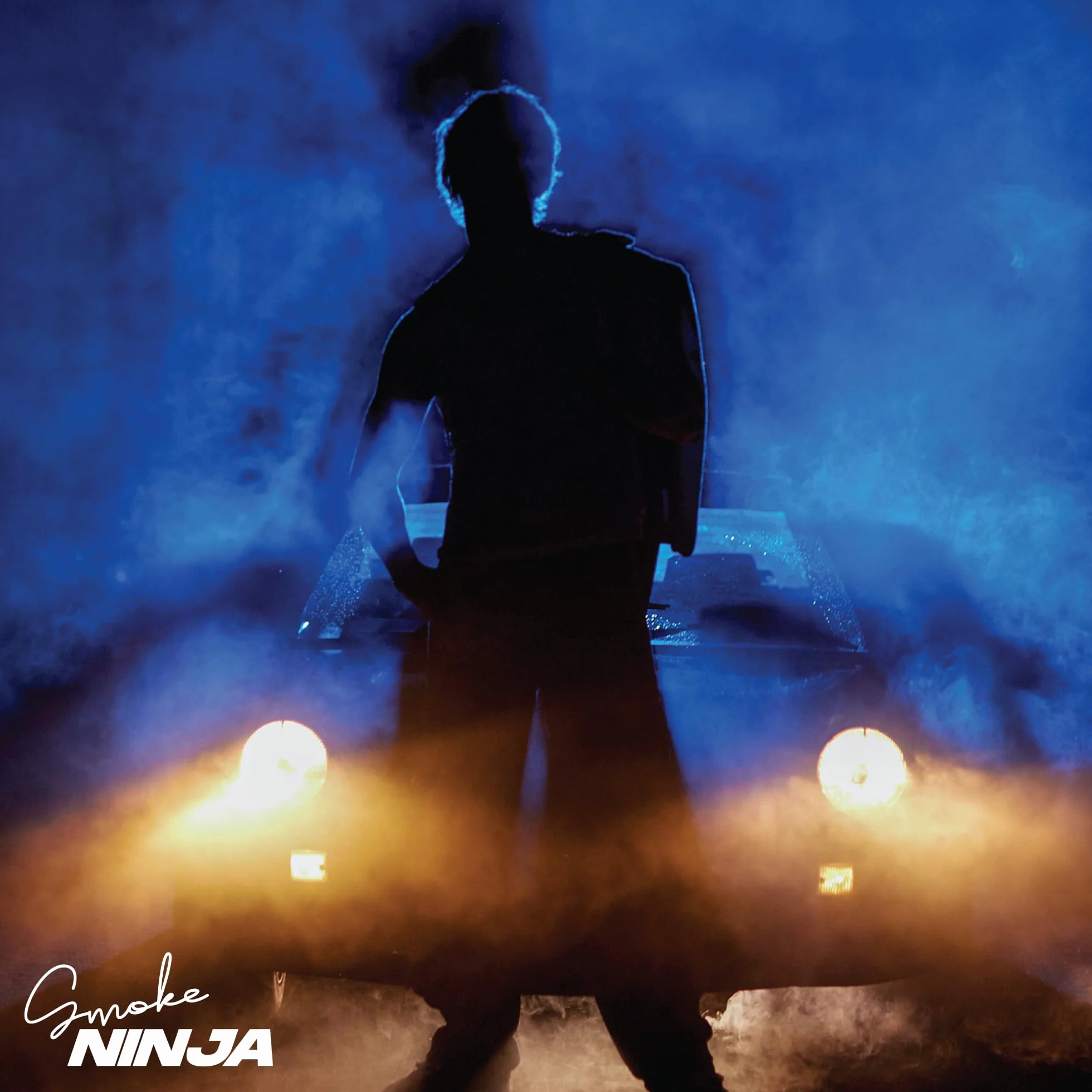 Smoke Ninja bezprzewodowa ręczna mini maszyna do robienia efektu mgły, parą i suchego lodu, dla początkujących, zasilana bateriami, przenośna z 3 ustawieniami, mgłą, parą i suchym lodem, do