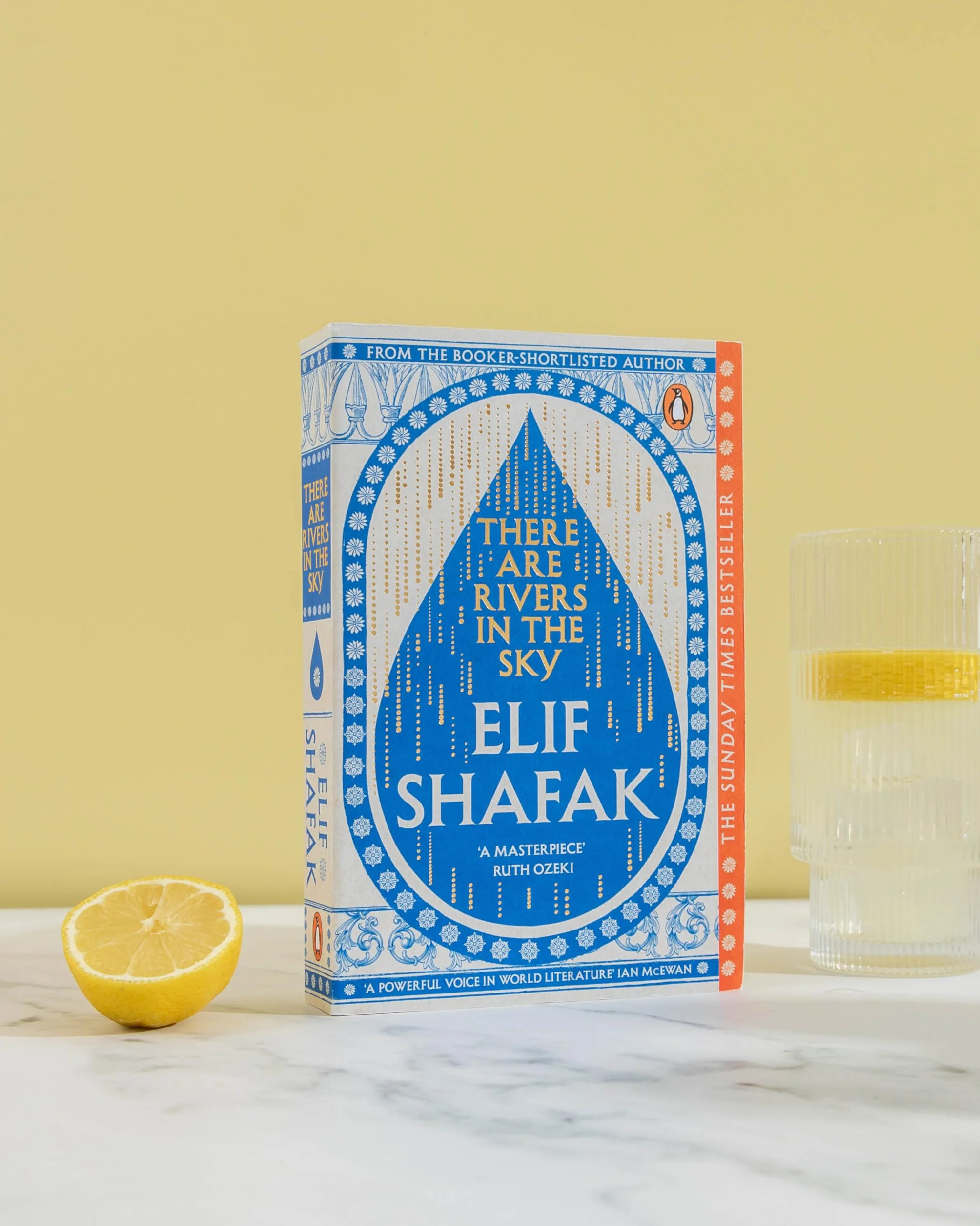 There are Rivers in the Sky: The beautiful Sunday Times bestseller from the author of The Island of Missing Trees & BBC Between the Covers Book Club pick