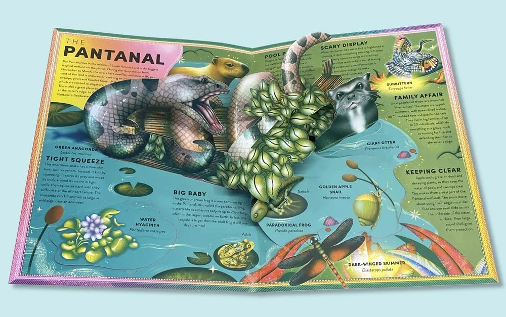 The Incredible Pop-up Frog: And other Wetland Creatures