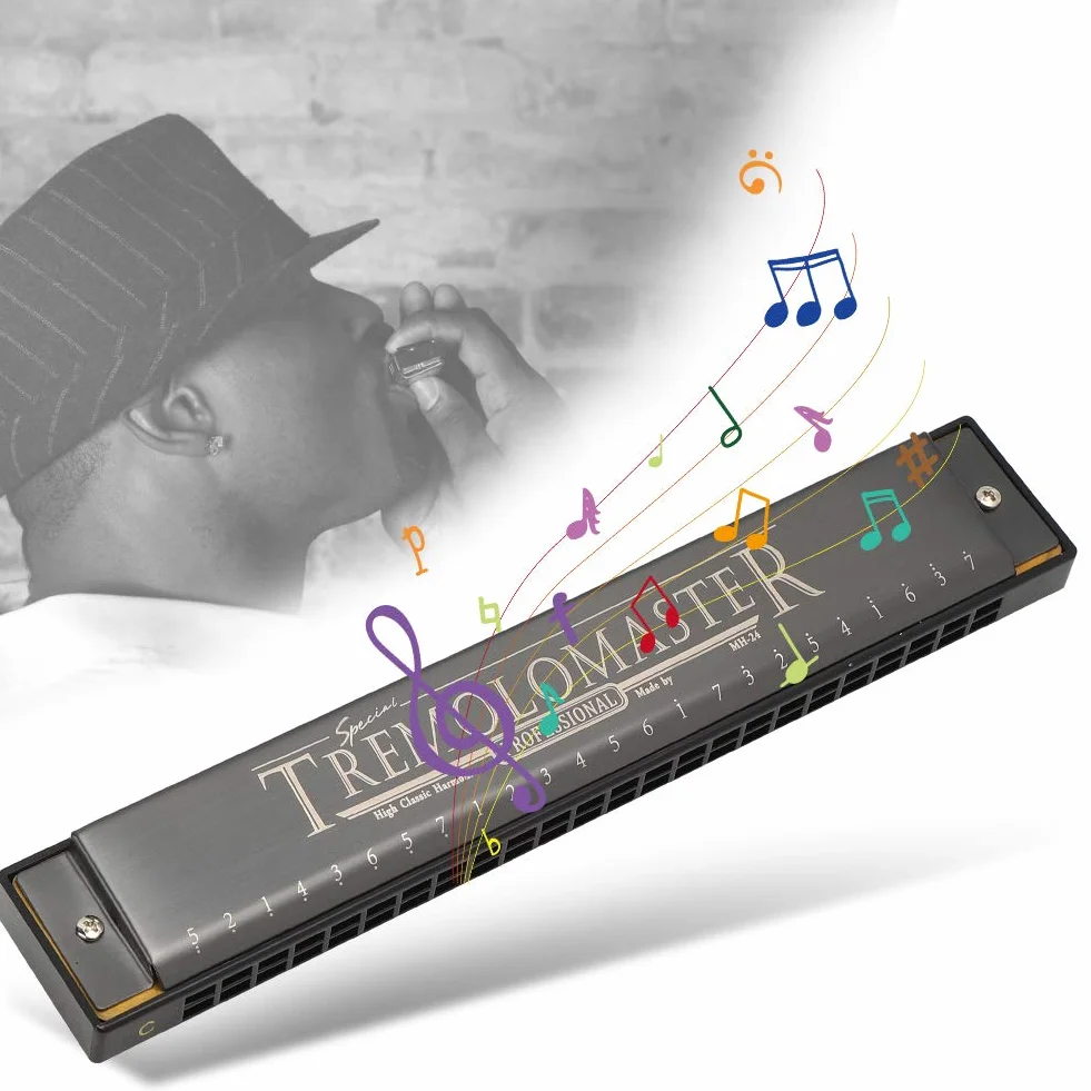 C-Key 24-otworowa harmonijka Profesjonalny instrument dęty Mouthorgan (czarny mat)