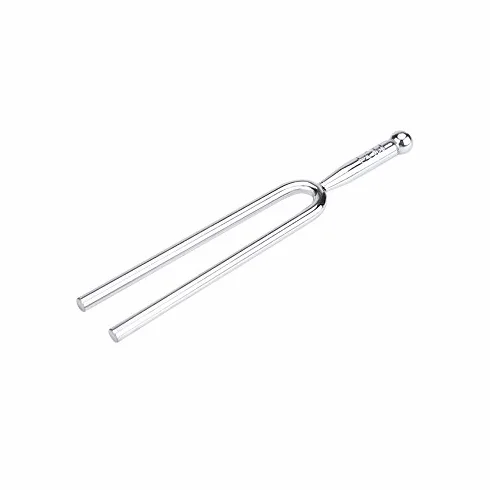 RiToEasysports kamerton, standardowa stal nierdzewna A 440Hz skrzypce tuner gitarowy Instrument Tone Tool z futerałem do przenoszenia