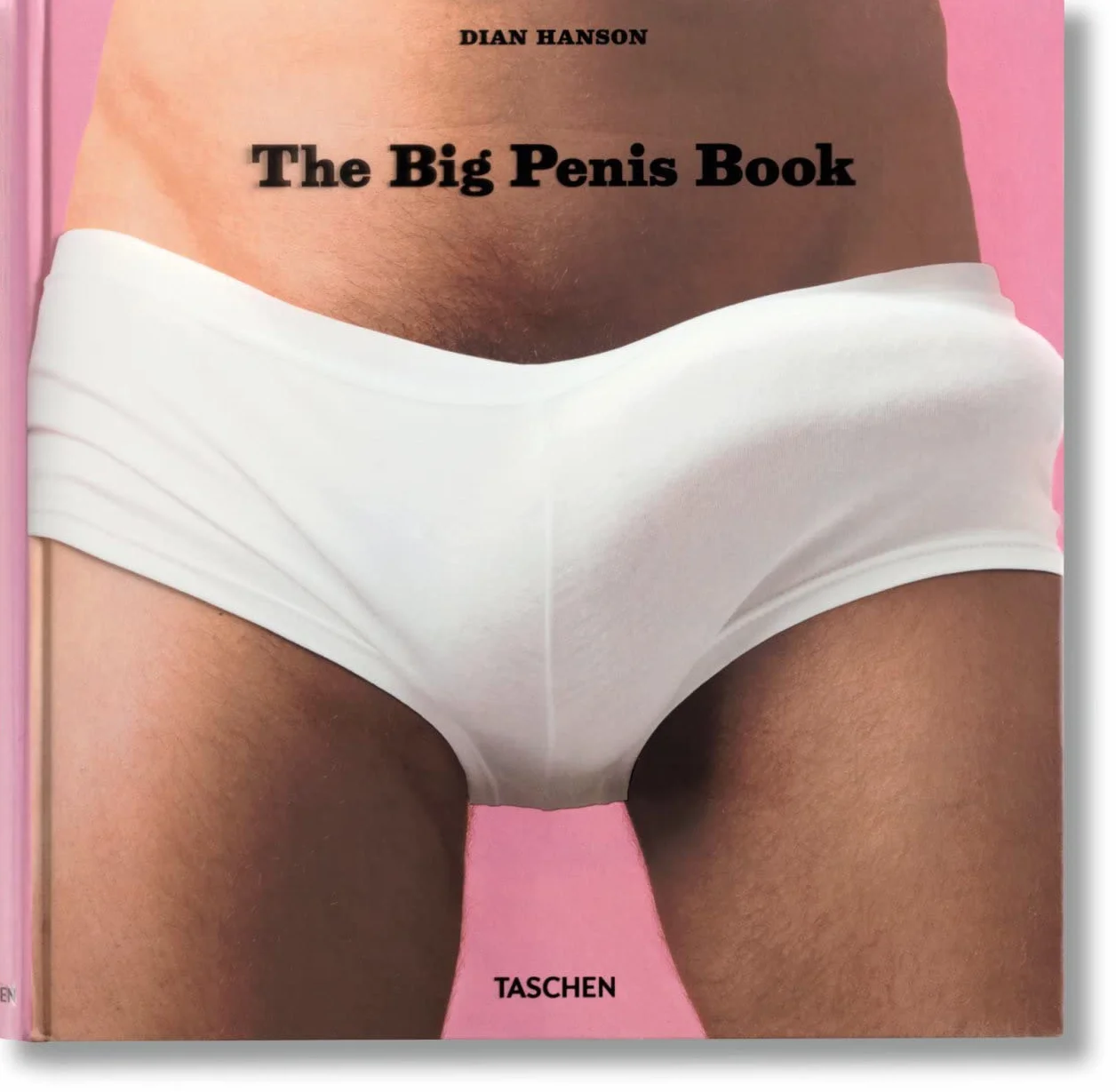 FO-THE BIG PENIS BOOK: The Fascinating Phallus