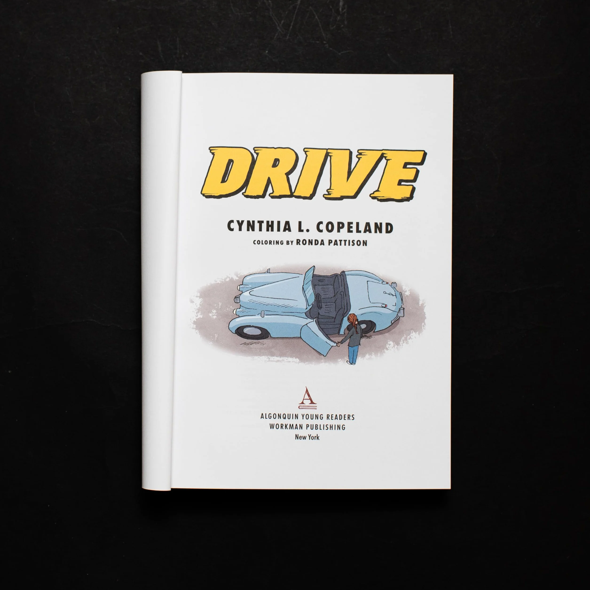 Drive (a Graphic Novel)